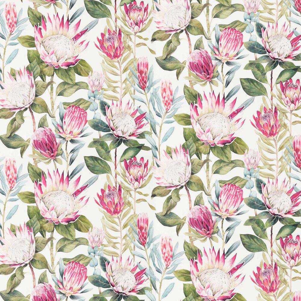 Protea Wallpapers - Top Free Protea Backgrounds - WallpaperAccess