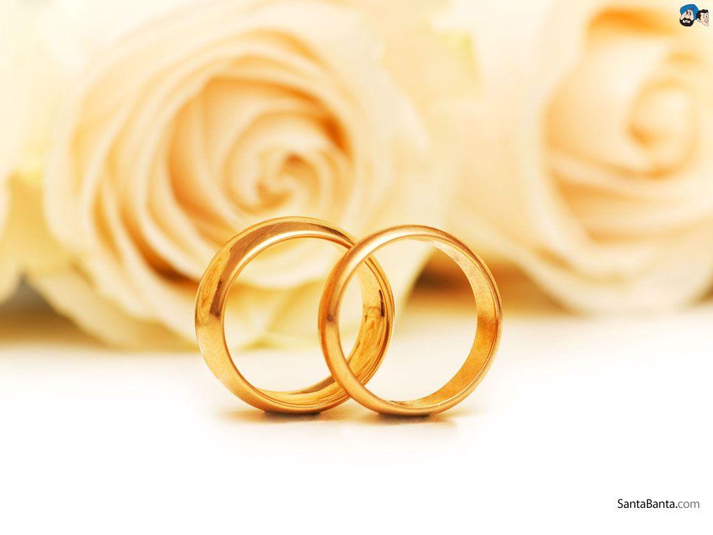 1024x768 Wedding Ring Background Photo
