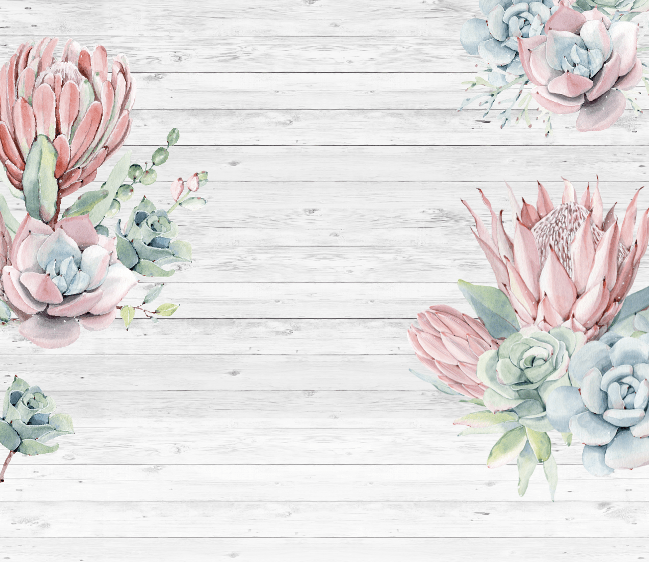 Protea Wallpapers - Top Free Protea Backgrounds - WallpaperAccess