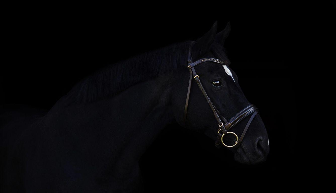 1336x768 Dark Horse Laptop HD HD 4k Wallpaper, Image, Background, Photo and Picture