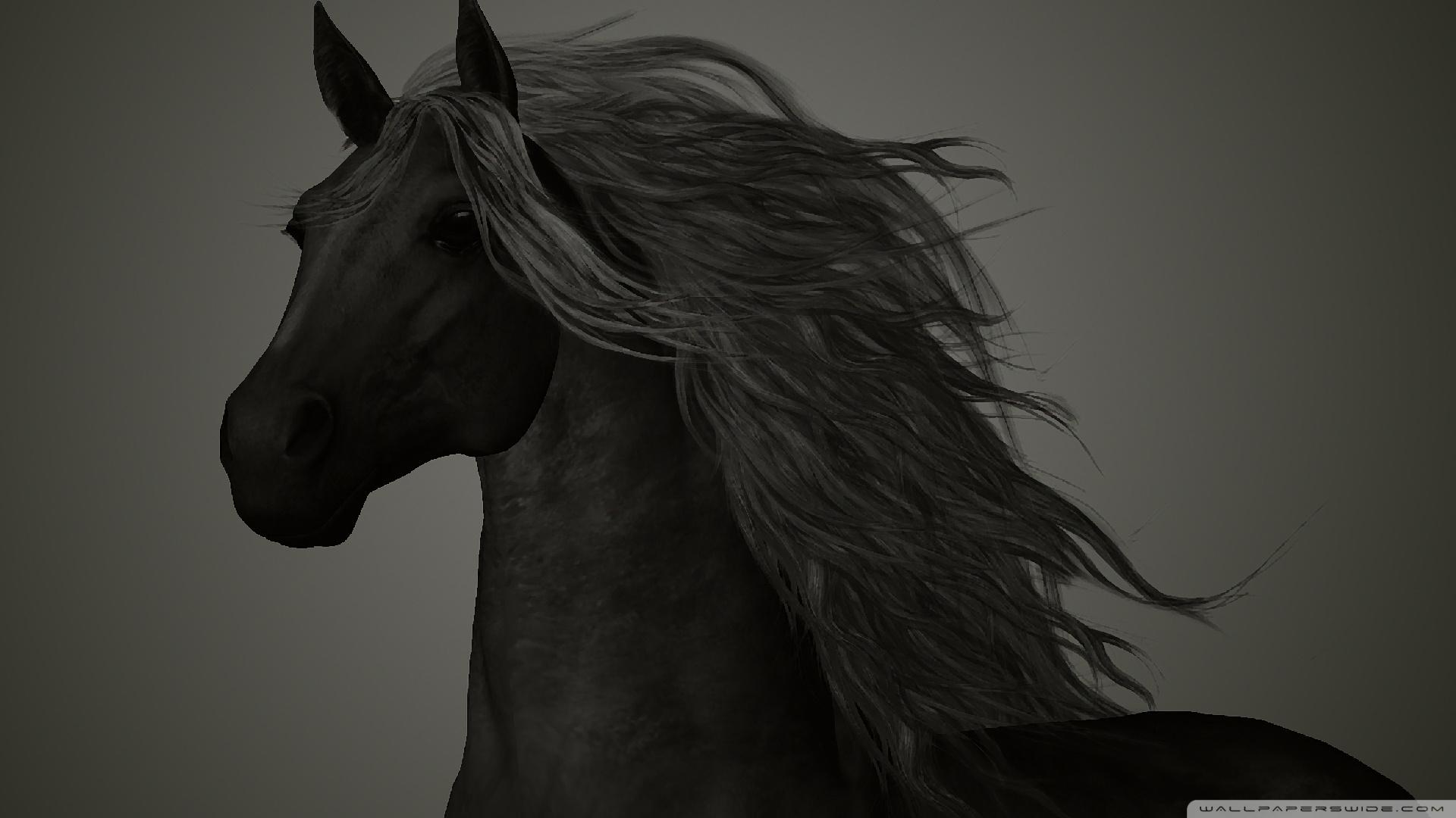 1920x1080 KEG88H8 Black Horse Wallpaper 1920x1080 px