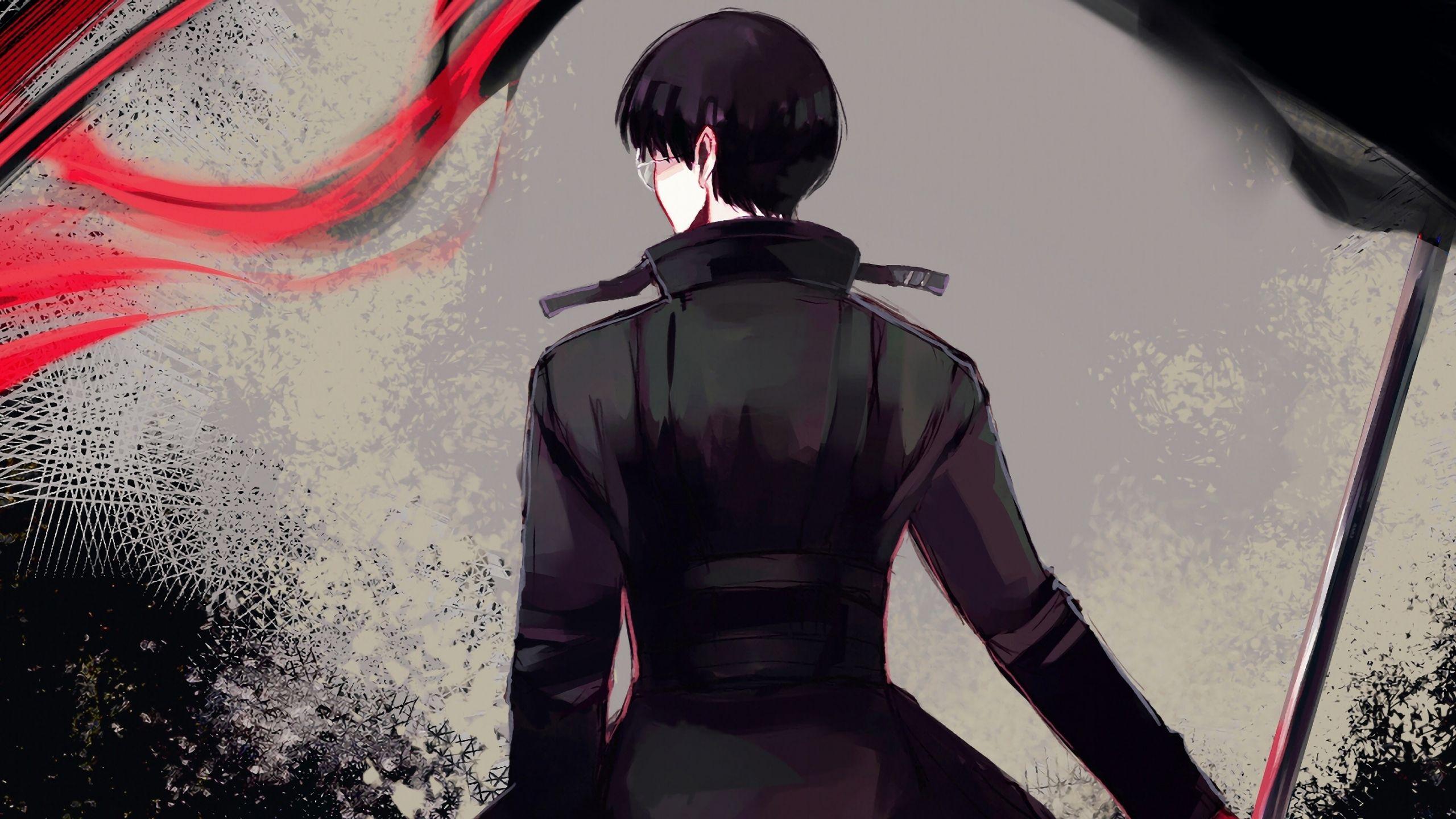 2560x1440 Download 2560x1440 wallpaper haise sasaki, ken kaneki, artwork, dual wide, widescreen 16: widescreen, 2560x1440 HD image, background, 10007