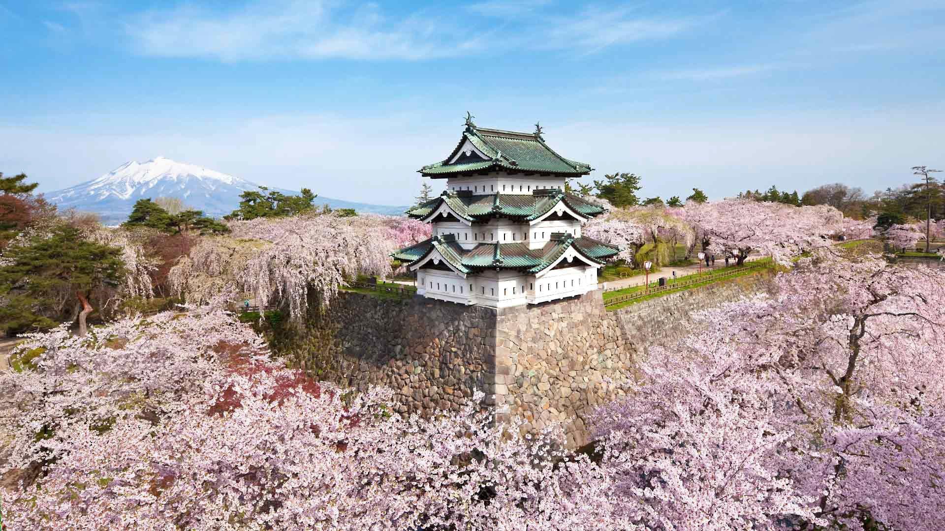1920x1080 castle #mountain #spring #Japan #Sakura #flowering #Hirosaki Aomori Prefecture the island of Honshu P #wallpaper #hdwallp. Japanese castle, Hirosaki, Castle
