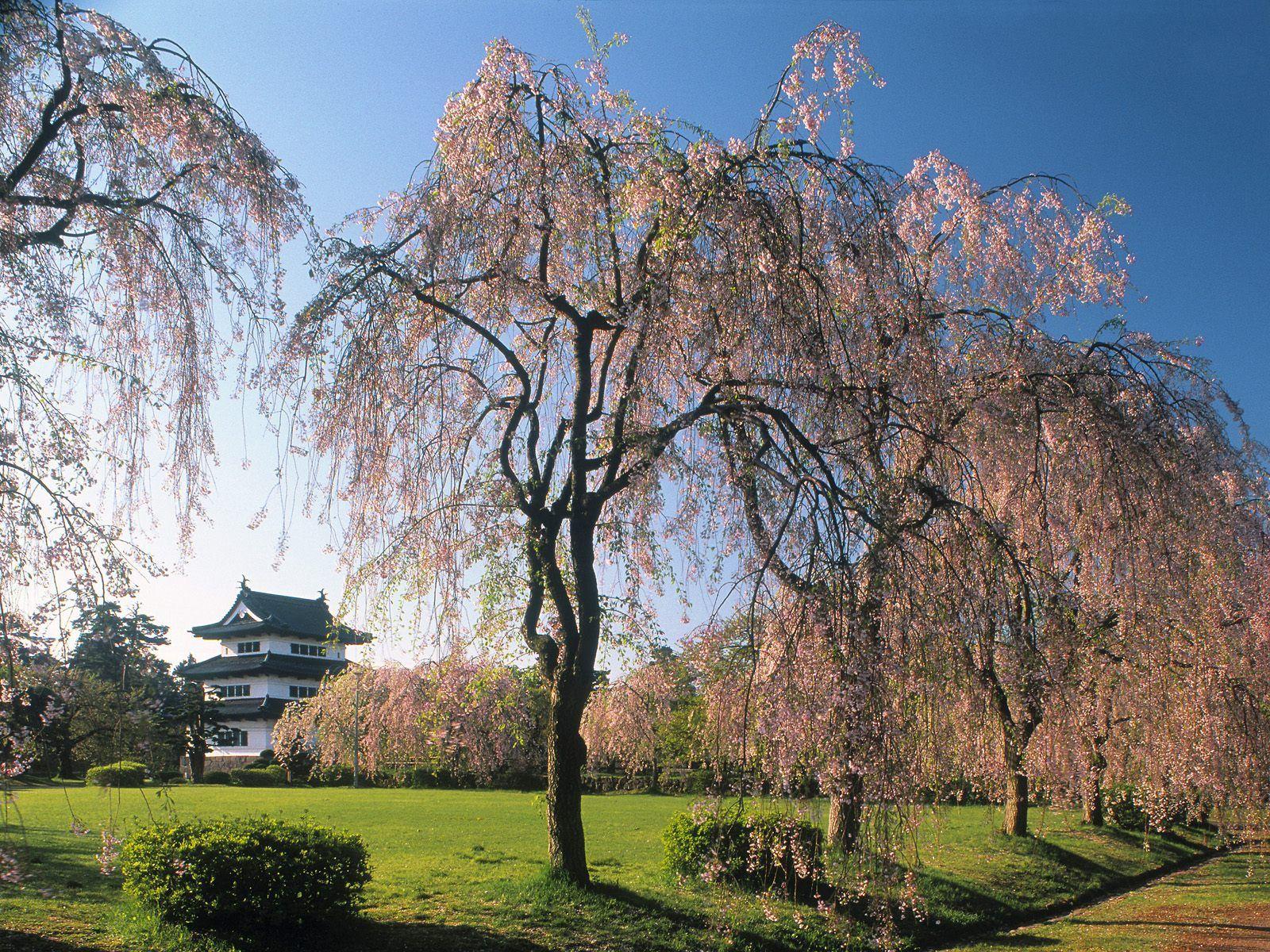 1600x1200 Japanese Castle Desktop Wallpaper high resolution (1600 x 1200 ) Beach Wallpaper