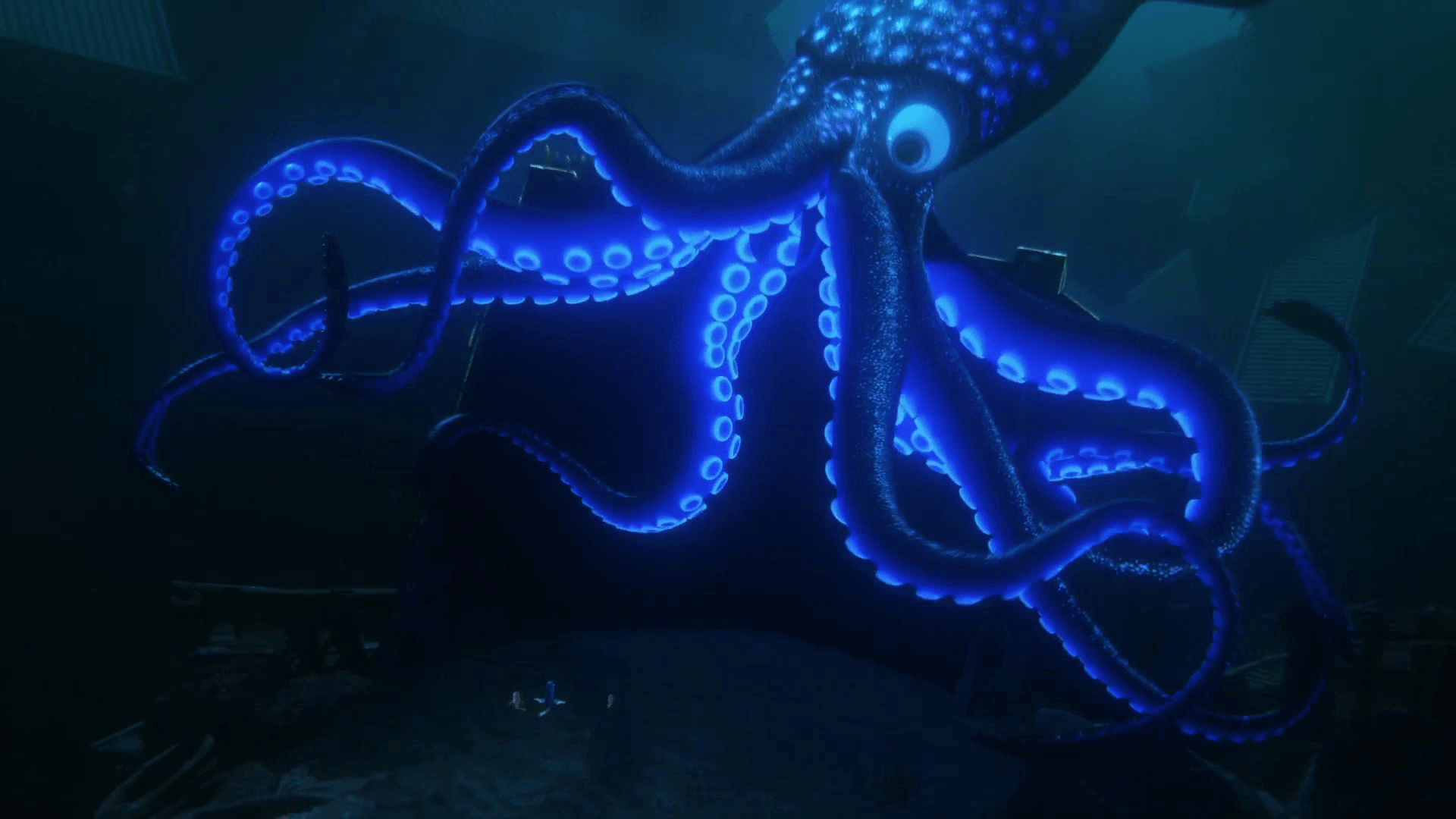 Giant Squid Wallpapers - Top Free Giant Squid Backgrounds - WallpaperAccess