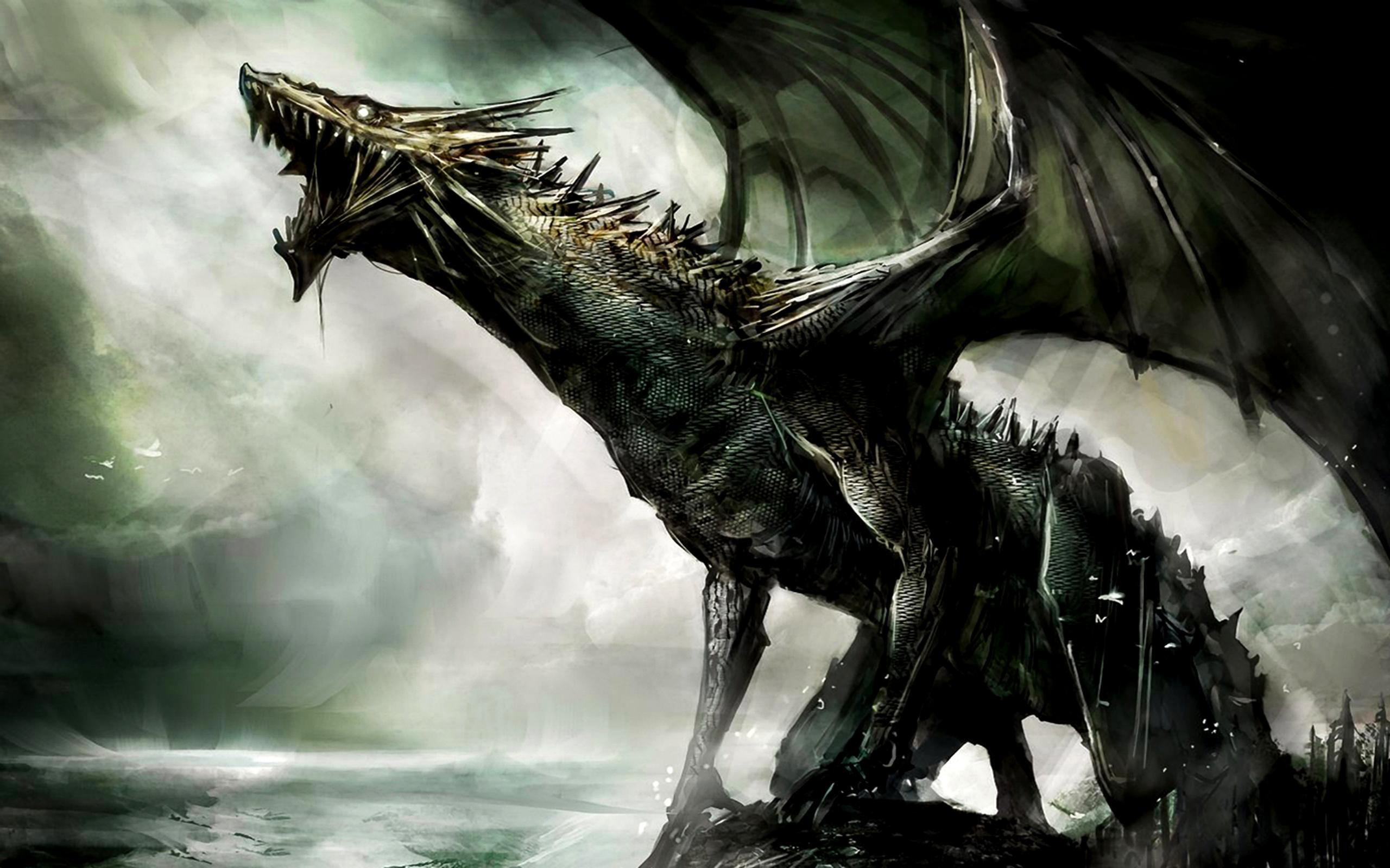 2560x1600 Download Dragon Wallpaper Hd, HD Background Download
