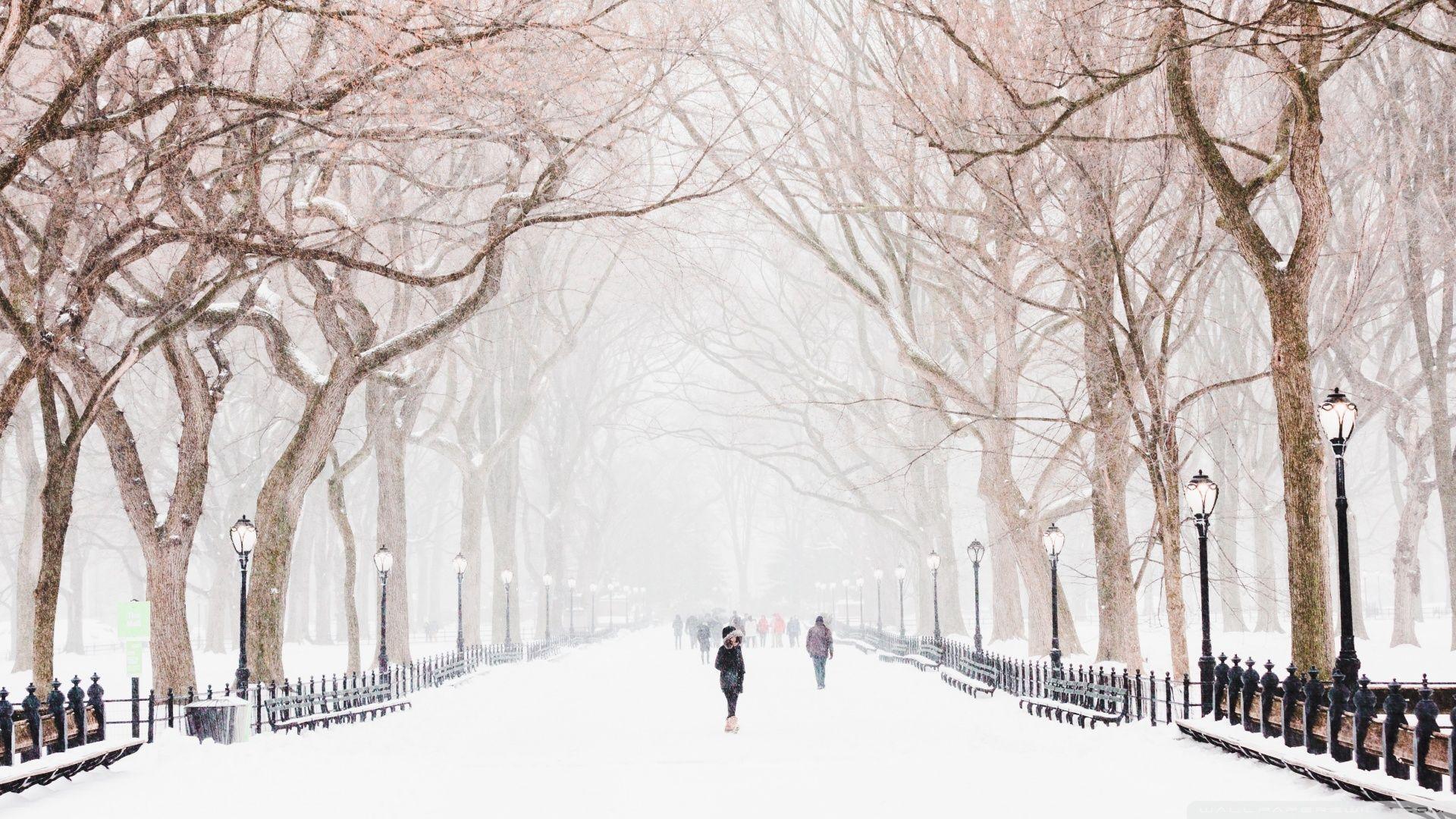 1920x1080 Winter, Central Park, New York City Ultra HD Desktop Background Wallpaper for 4K UHD TV : Widescreen & UltraWide Desktop & Laptop : Tablet