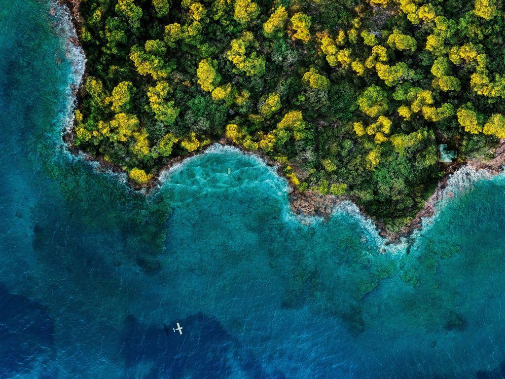 1024x768 Top view of the blue ocean and green forest, Iceland Desktop wallpaper 1024x768