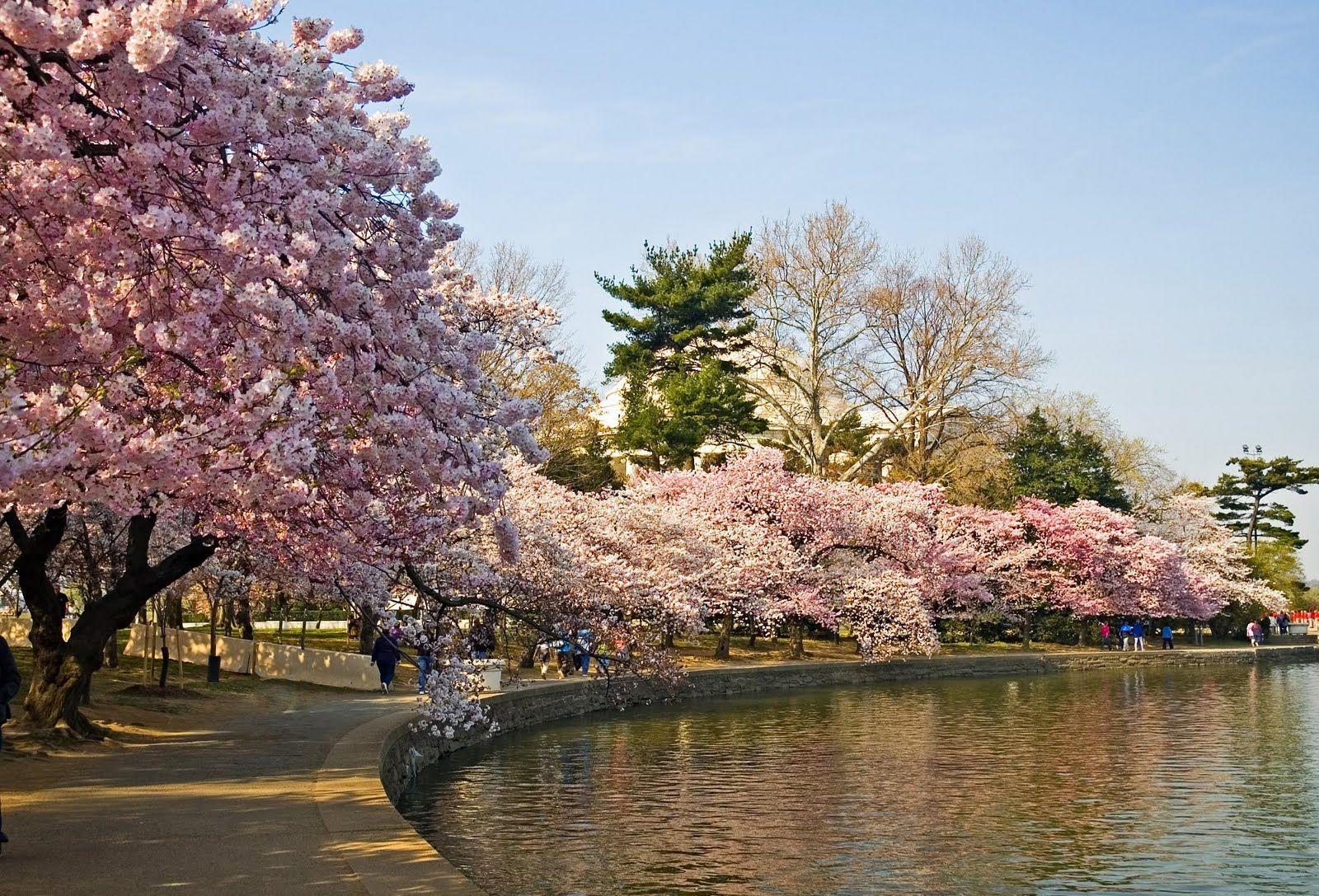 1600x1087 South Korea Scenery Wallpaper