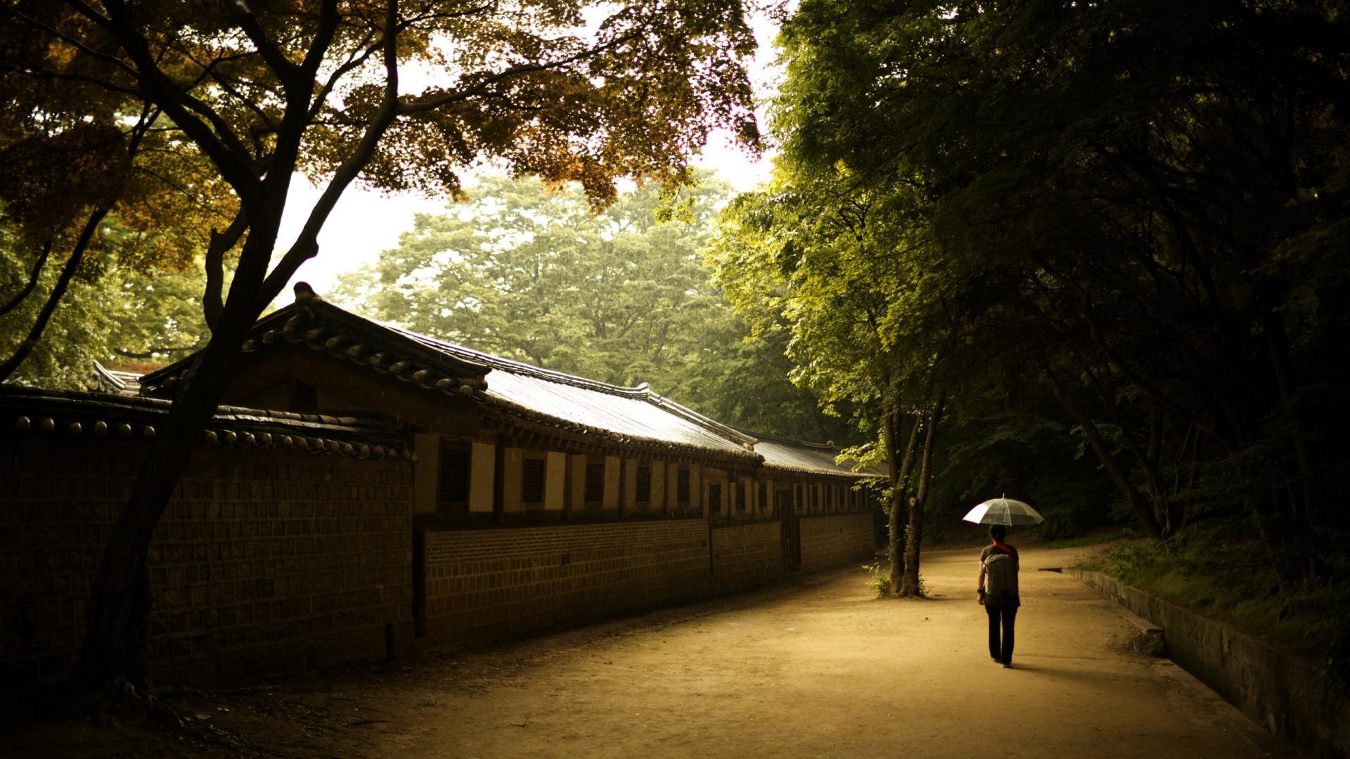 1920x1080 Korea Nature Wallpaper