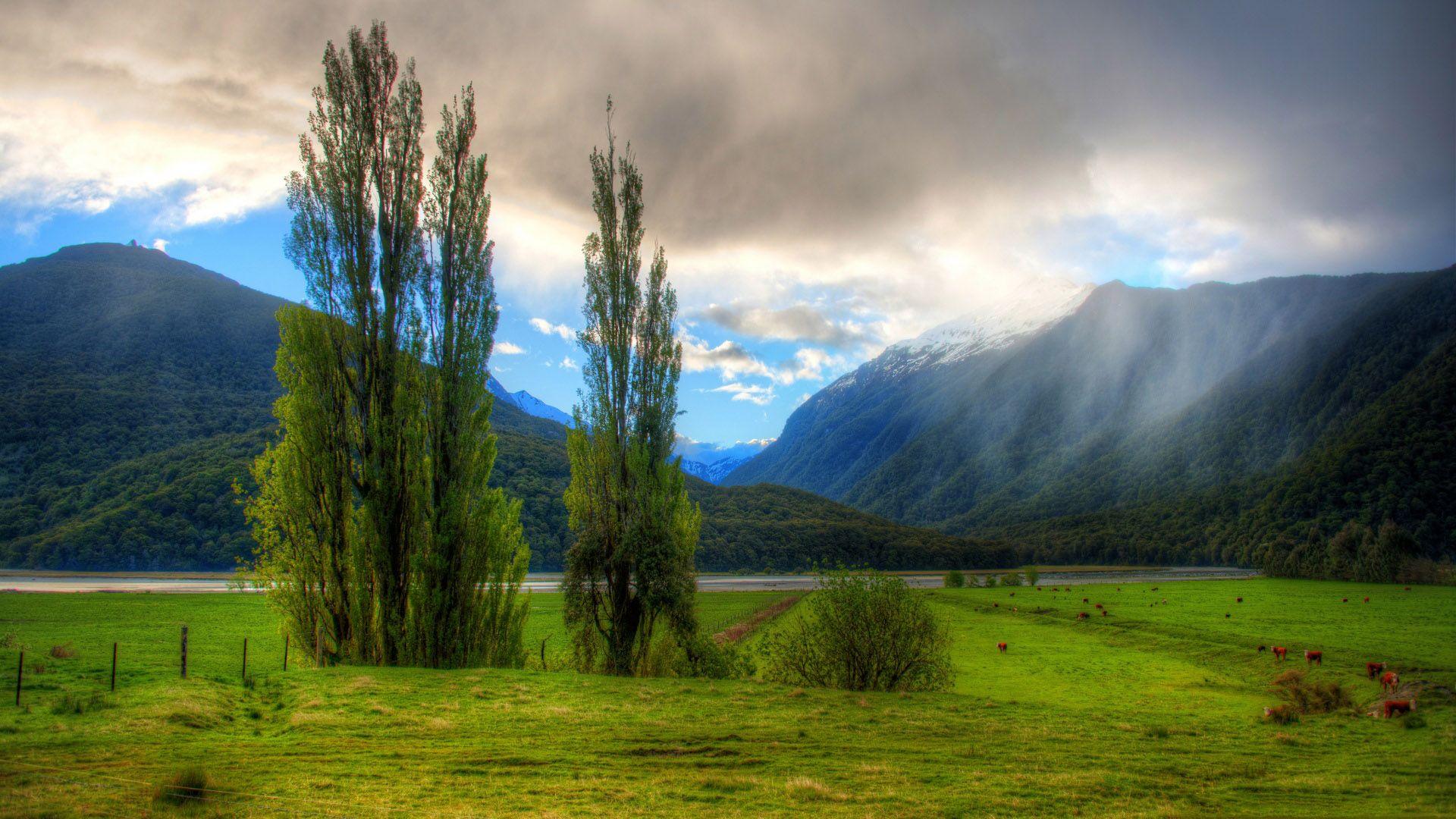1920x1080 New Zealand Landscape HD