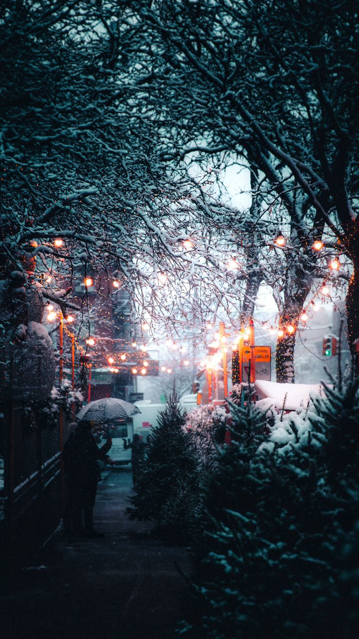 720x1280 Winter wallpaper