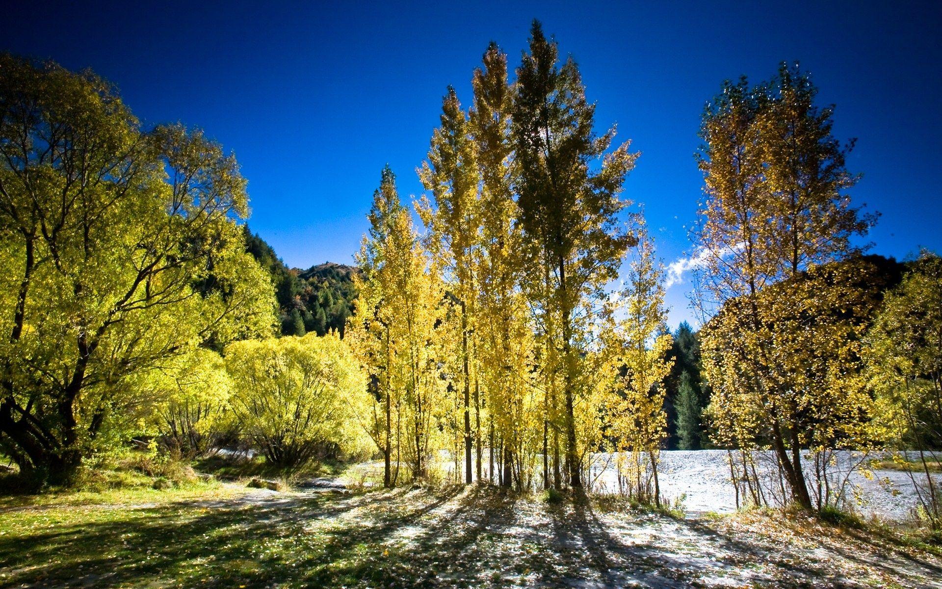 1920x1200 Autumn New Zealand Wallpaper in jpg format for free download
