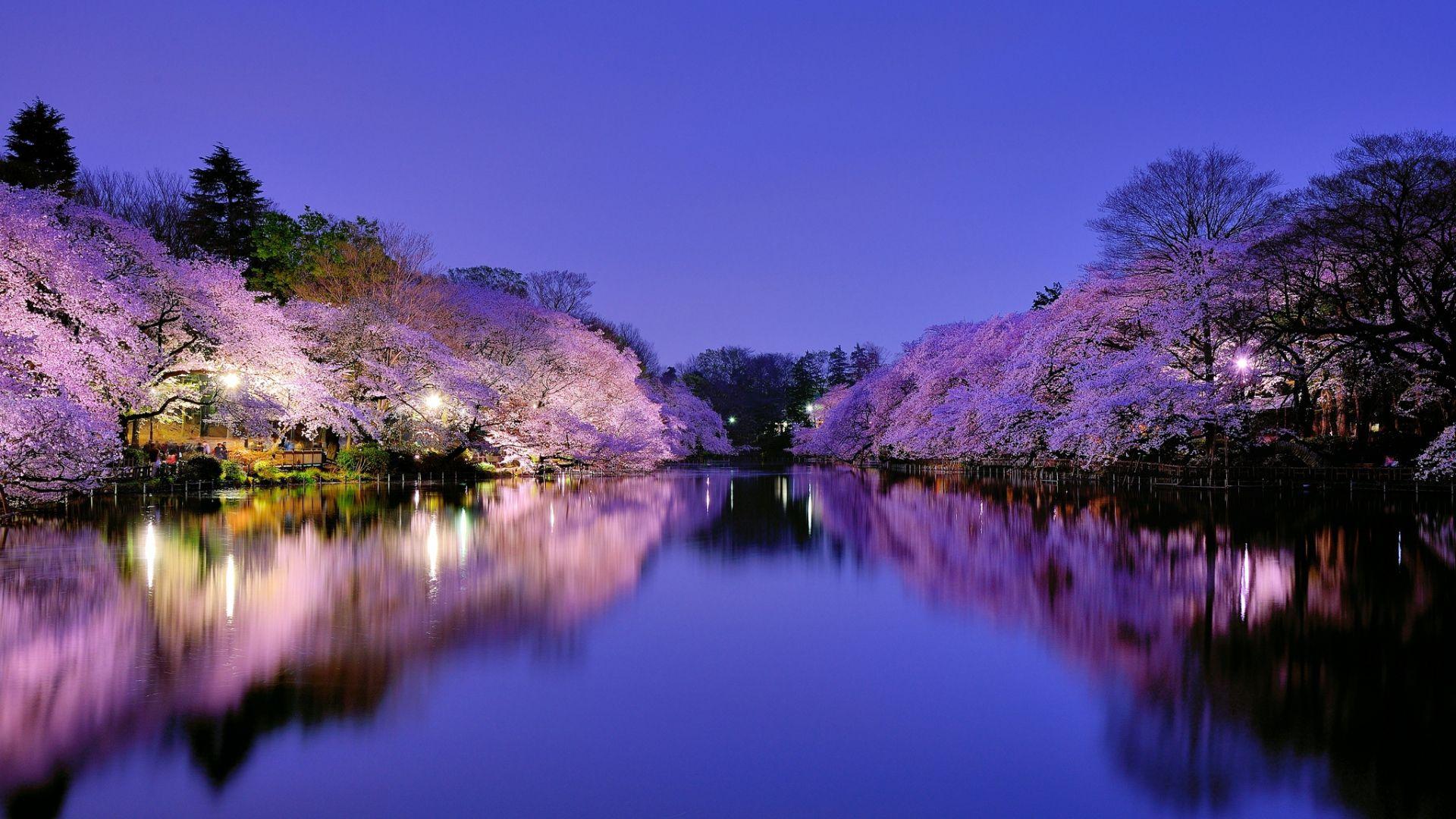 1920x1080 Beautiful Japan Wallpaper The Land Of Rising Sun