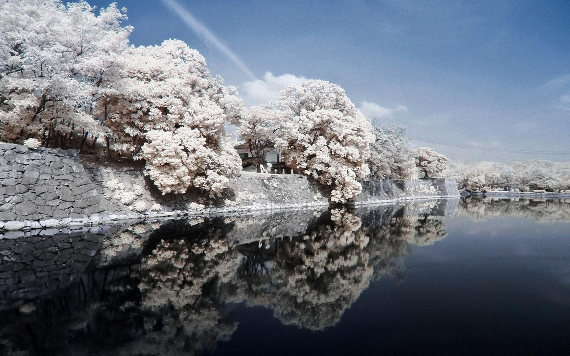 1920x1200 Japan Coast River Stone Trees Landscape HD wallpaper