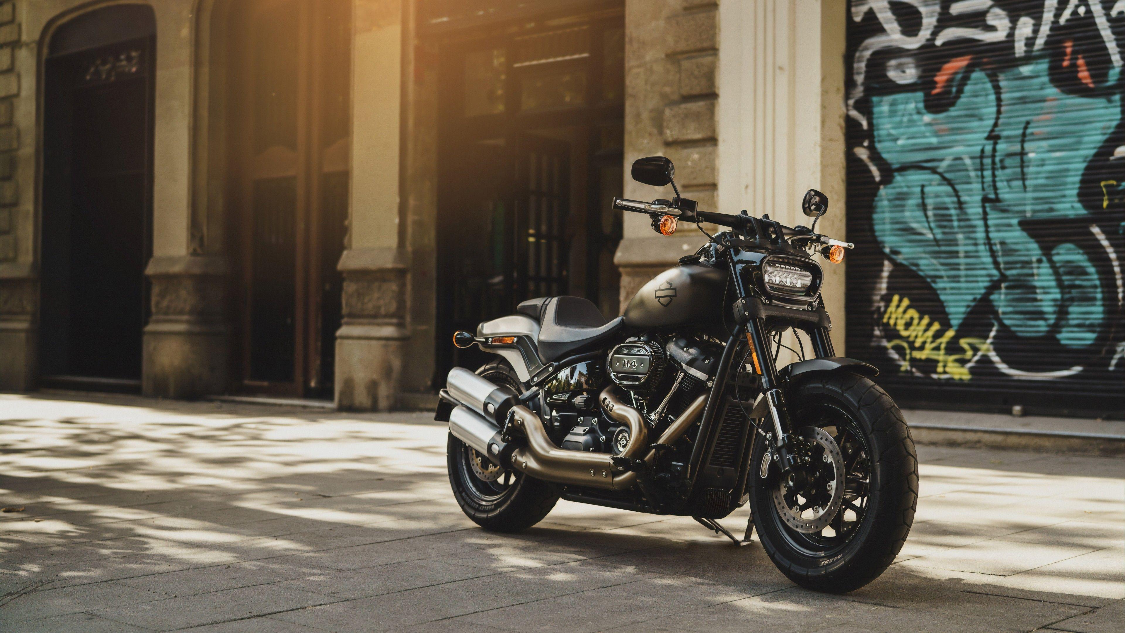 3840x2160 Harley Davidson Fat Bob 4K Wallpaper, Grey Motorcycle, Sun Light, Day Time, 5K, 8K, Bikes
