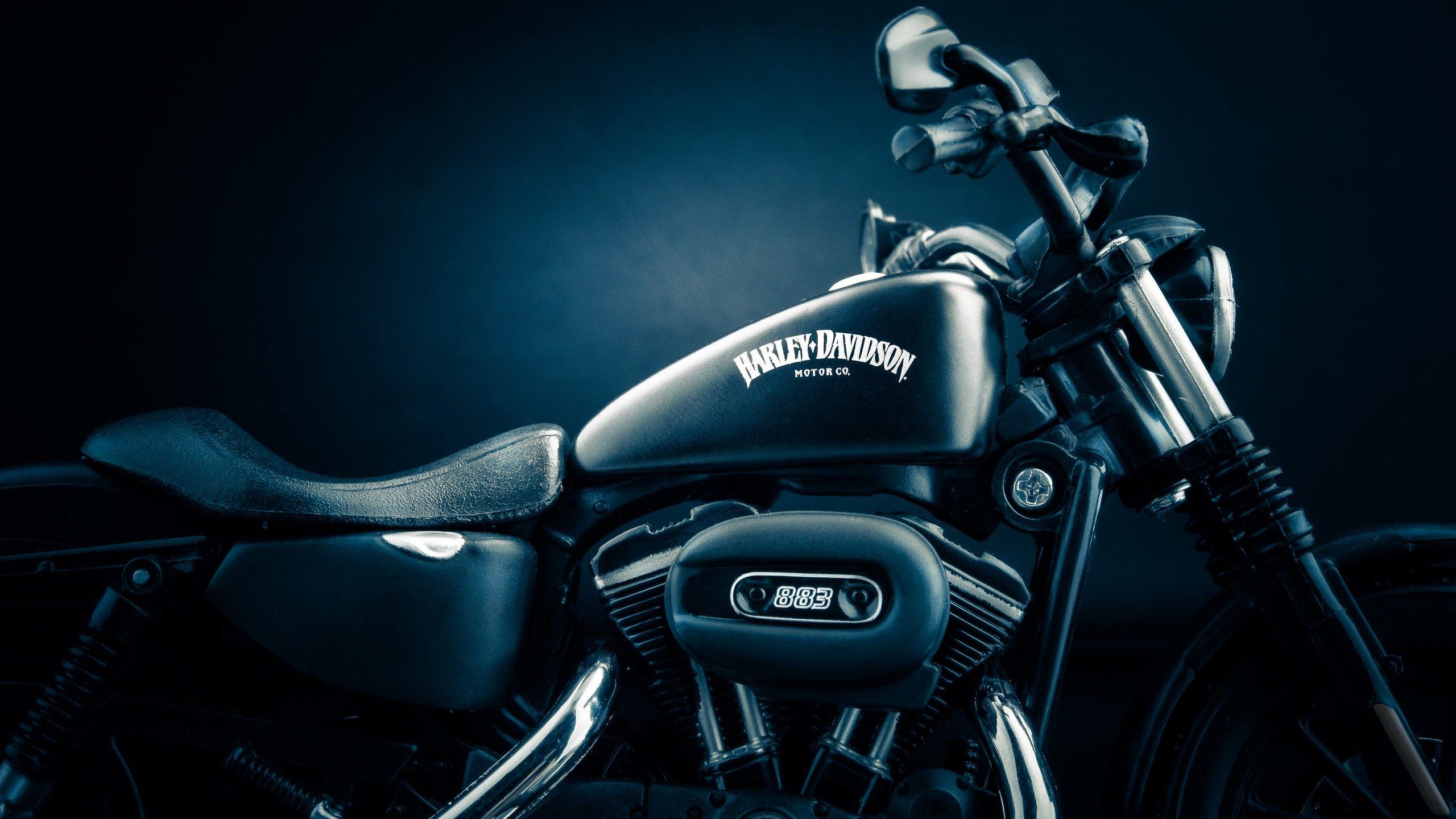 2560x1440 Harley Davidson Iron 883 4K Wallpaper