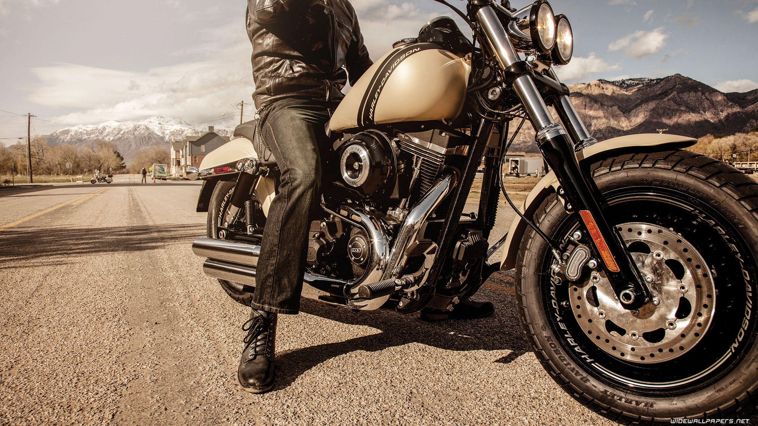 2560x1440 Harley Davidson Dyna Motorcycle Desktop Wallpaper 4K Ultra HD