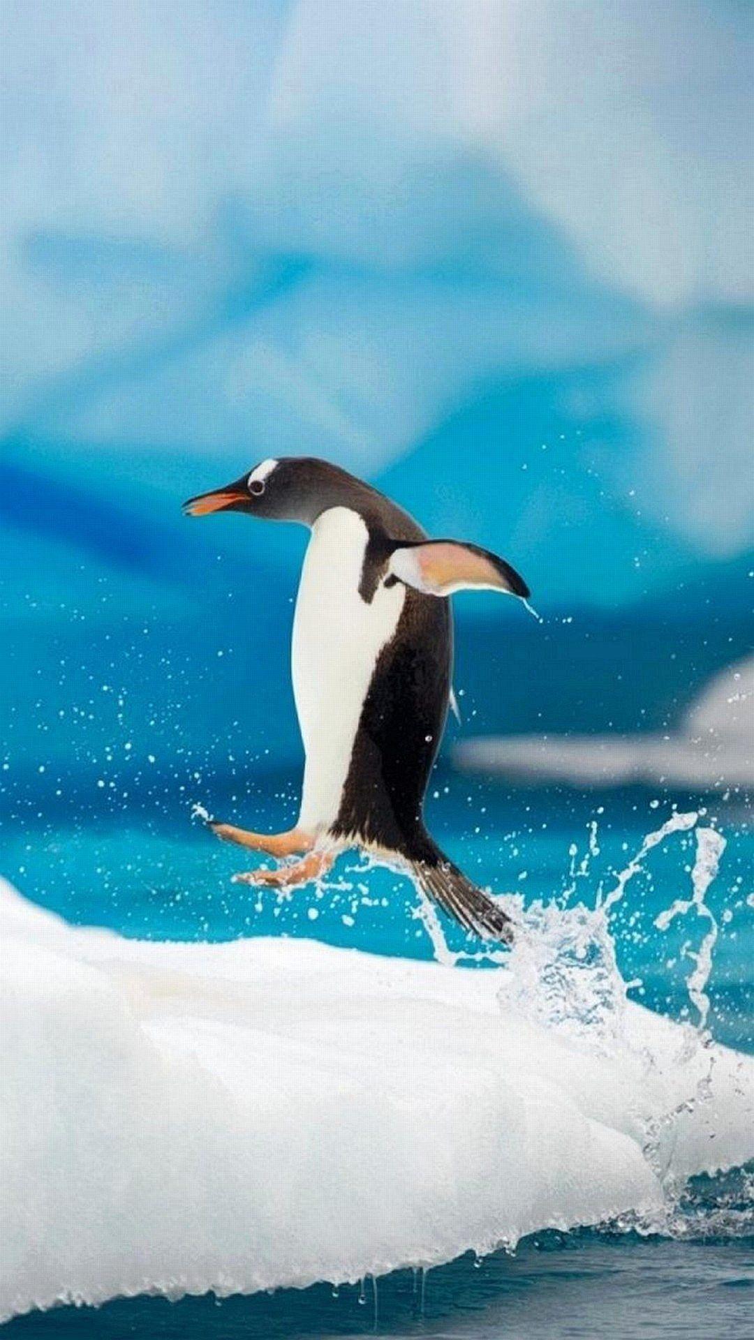 1080x1920 Free download 3D Apple iPhone 7 HD Image Wallpaper Pics and Photo [1080x1920] for your Desktop, Mobile & Tablet. Explore 3D Penguin WallpaperD Penguin Wallpaper, Penguin Wallpaper, Penguin Wallpaper