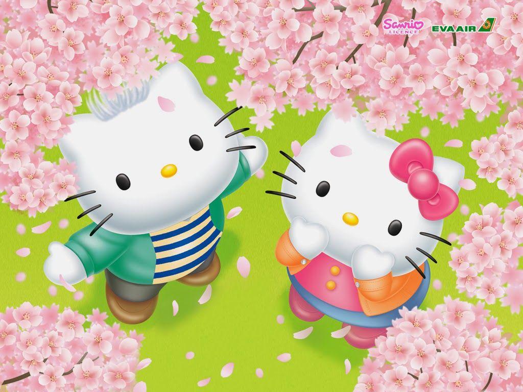 3D Kitty Wallpapers - Top Free 3D Kitty Backgrounds - WallpaperAccess