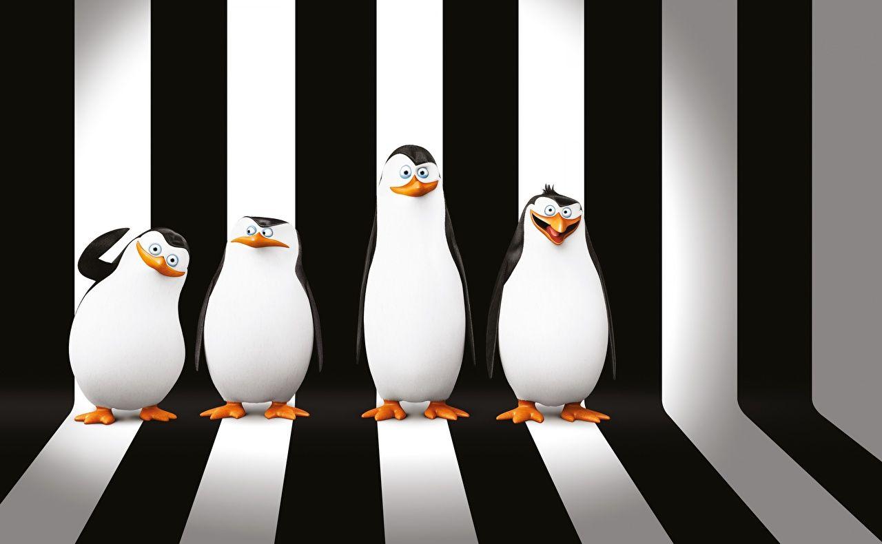 1280x790 Picture Penguins of Madagascar Cartoons 3D Graphics Stripes