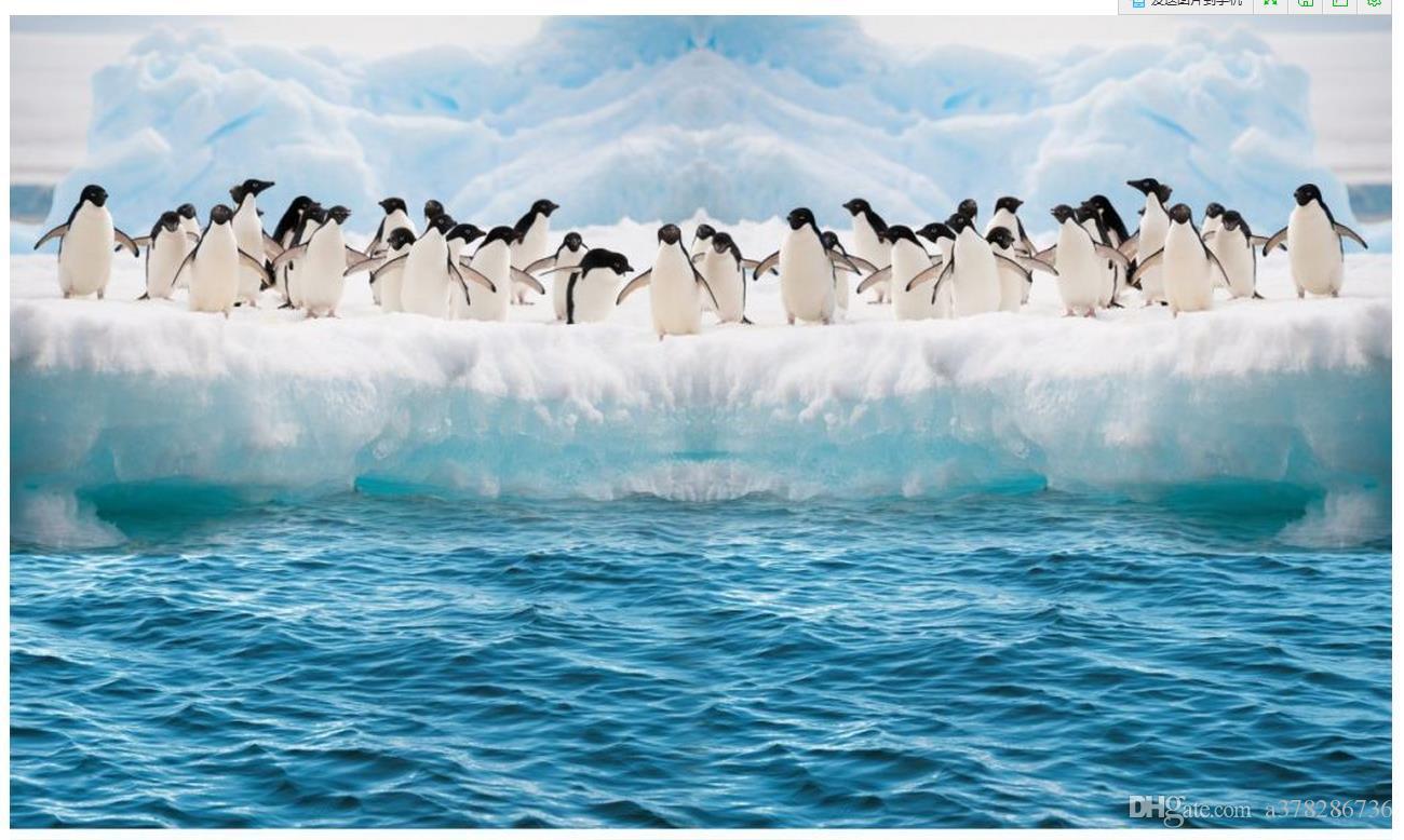 1300x778 3D Photo Wallpaper Custom Wall Murals Wallpaper Mural Penguins Background Wall Paper Living Room Decor Painting High Resolution Wallpaper High Resolution Wallpaper For Desktop From A $8.69.