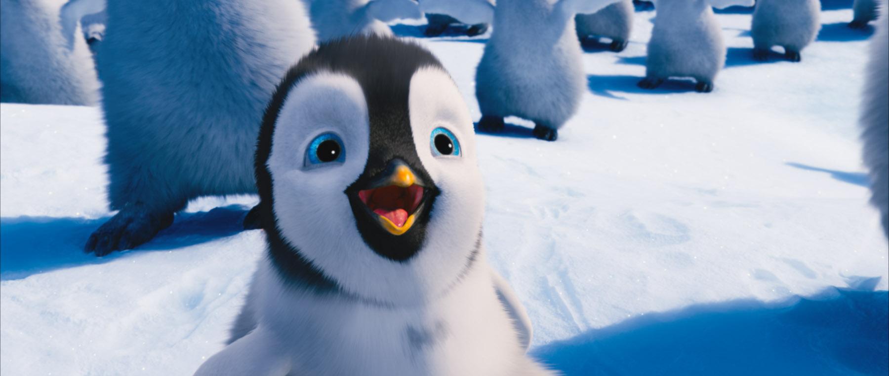 1800x763 Happy Feet 2 Erik the Penguin Desktop Wallpaper