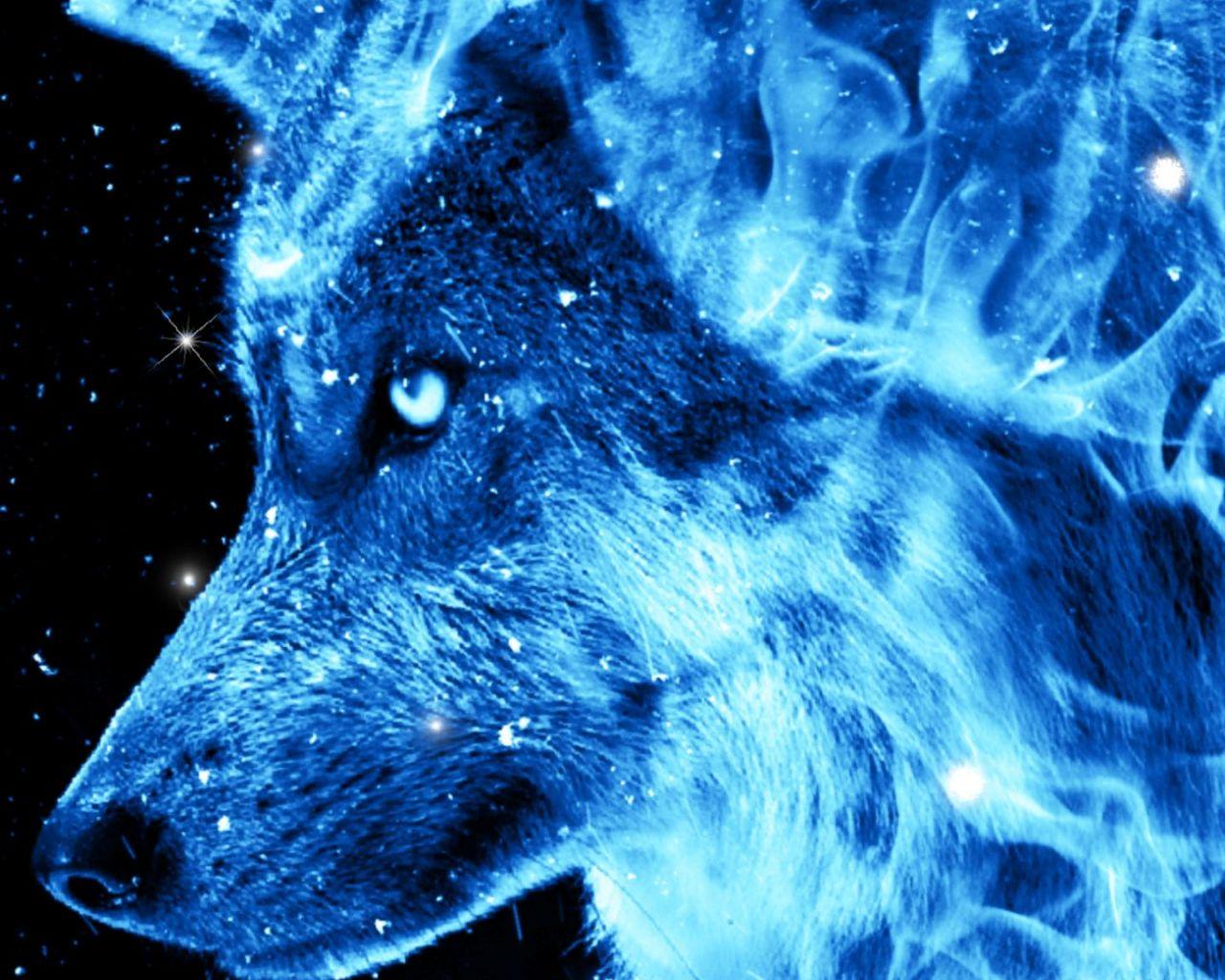 1280x1024 Free download Ice Fire Wolf Wallpaper for Android APK Download [1440x2560] for your Desktop, Mobile & Tablet. Explore Wolf Picture Wallpaper. Free Wolf Picture Wallpaper