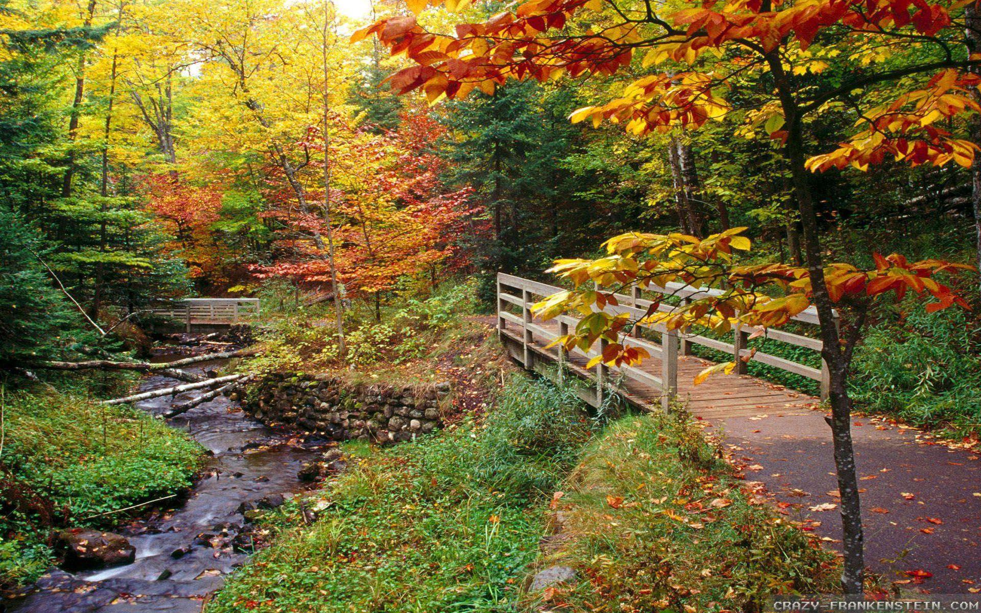 1920x1200 New England Fall Desktop Wallpaper