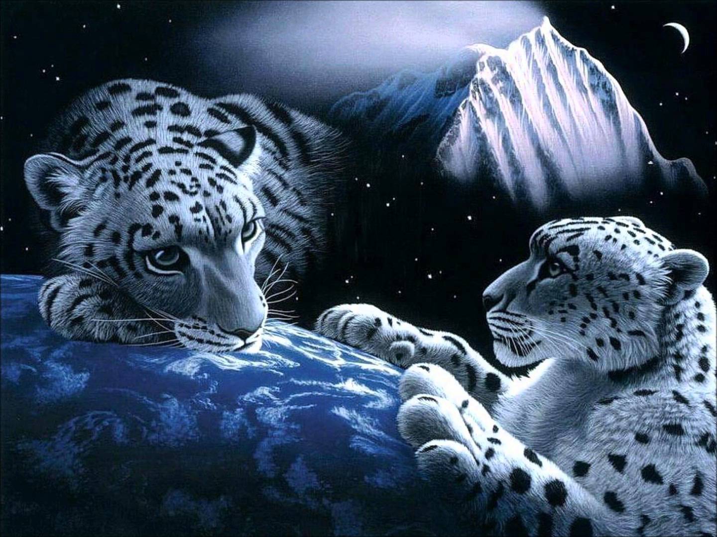 1440x1080 3D Animals Wallpaper