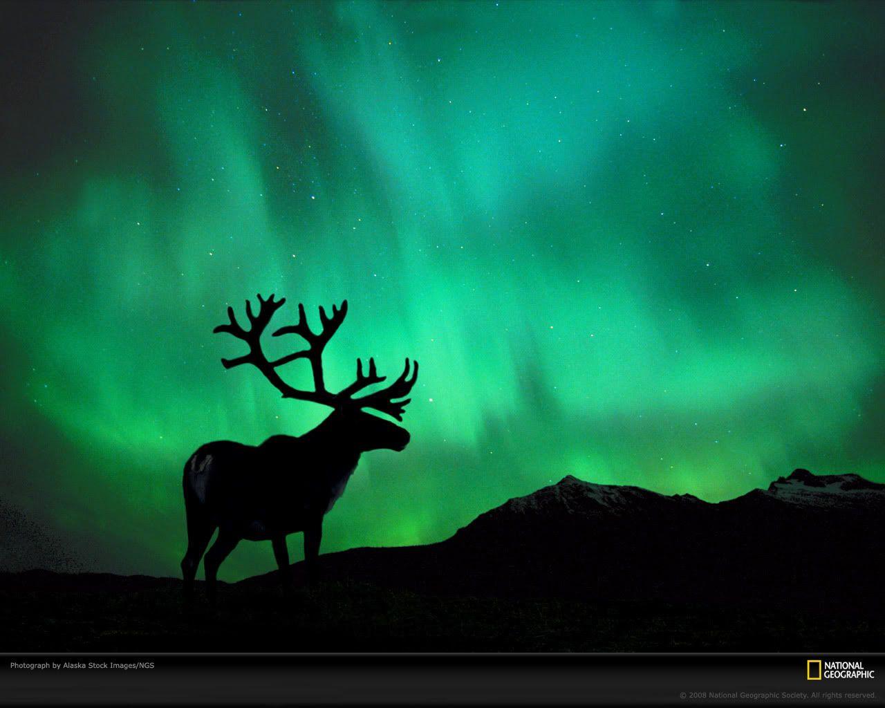 1280x1024 Faithsupnat's image. Northern lights, Alaska northern lights, Aurora borealis northern lights