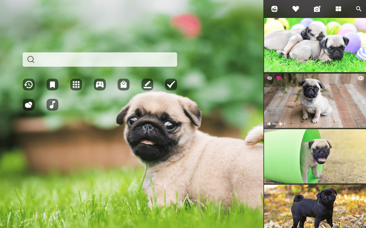 1280x800 My Puppy Pug HD Wallpaper New Tab
