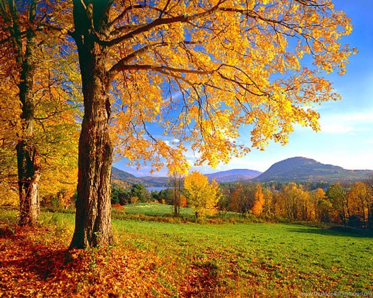 1280x1024 Widescreen England Autumn HD Wallpaper & Background Download