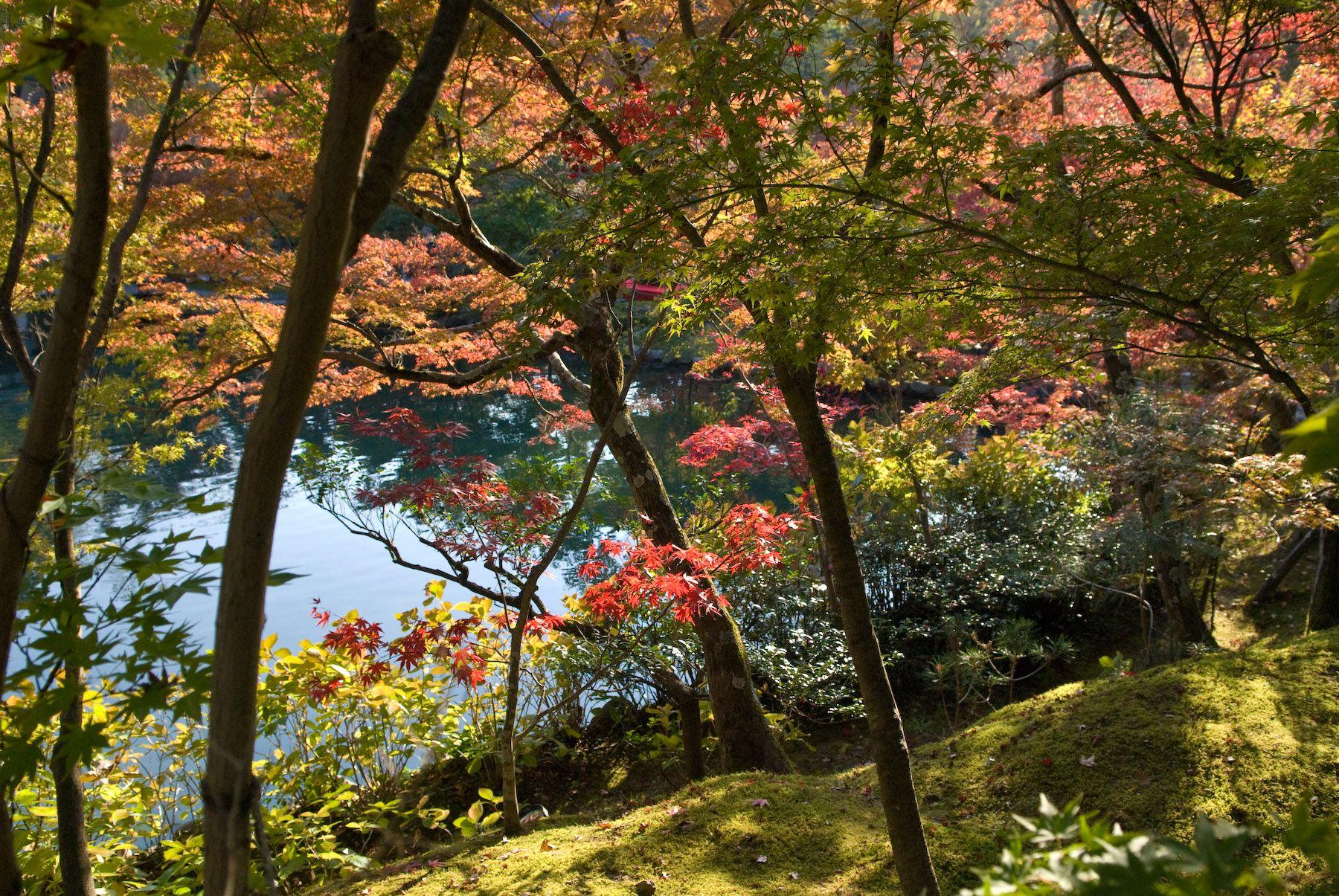 1800x1205 Free download new england fall desktop wallpaper in hdcom [1800x1205] for your Desktop, Mobile & Tablet. Explore New England Fall Desktop Wallpaper. England Wallpaper for Desktop, New England