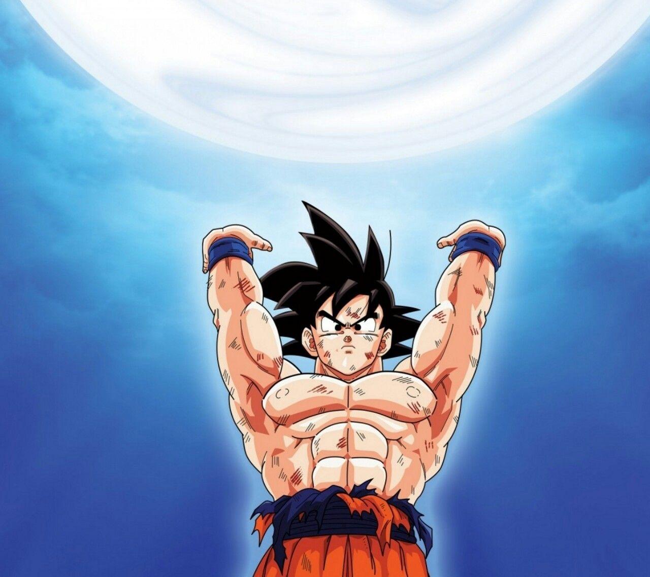 1280x1138 DIEGOSAI