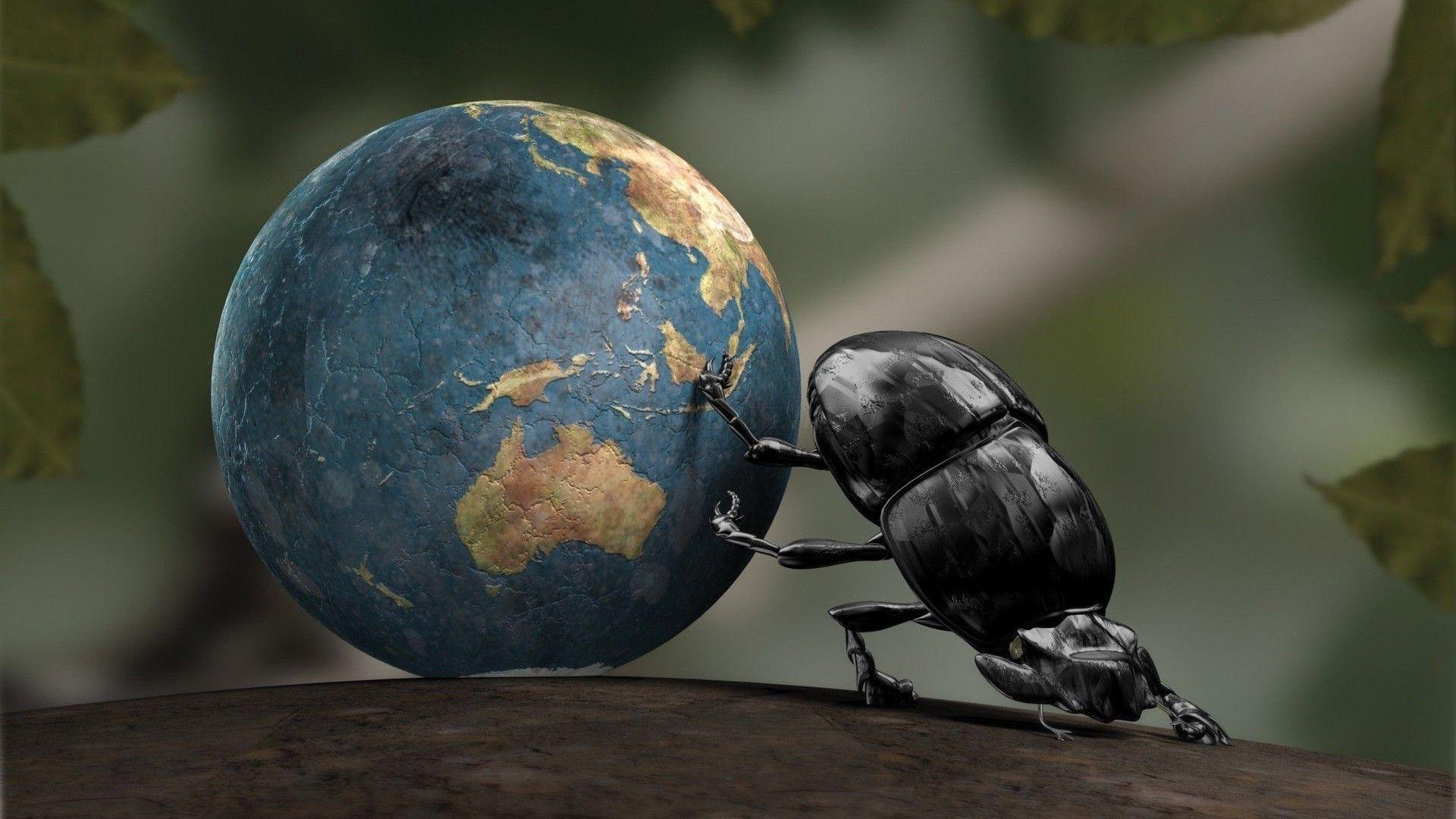 1920x1080 Earth, Insect, CGI, Dung Beetle, Crabs Wallpaper HD / Desktop and Mobile Background