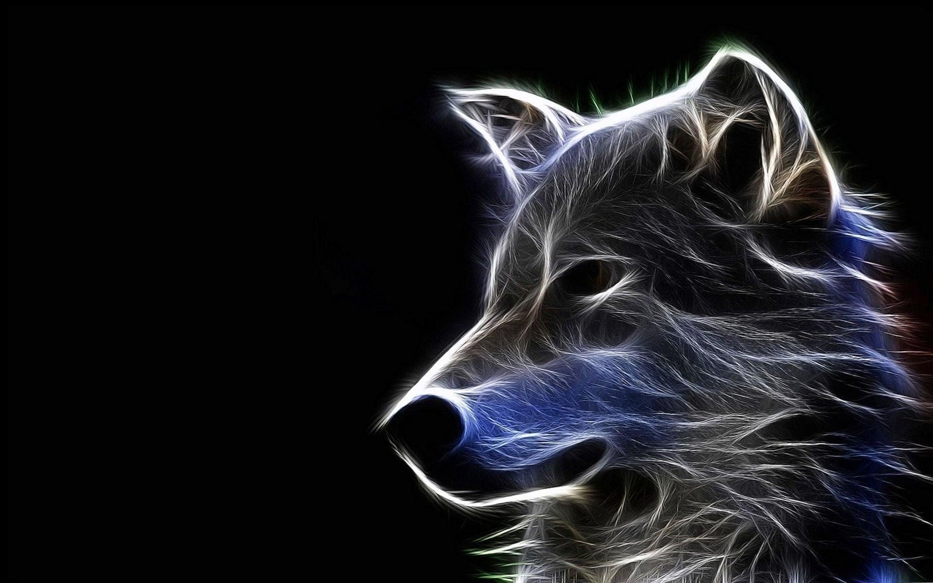 1920x1200 Cute Wolf Wallpaper Free HD Wallpaper