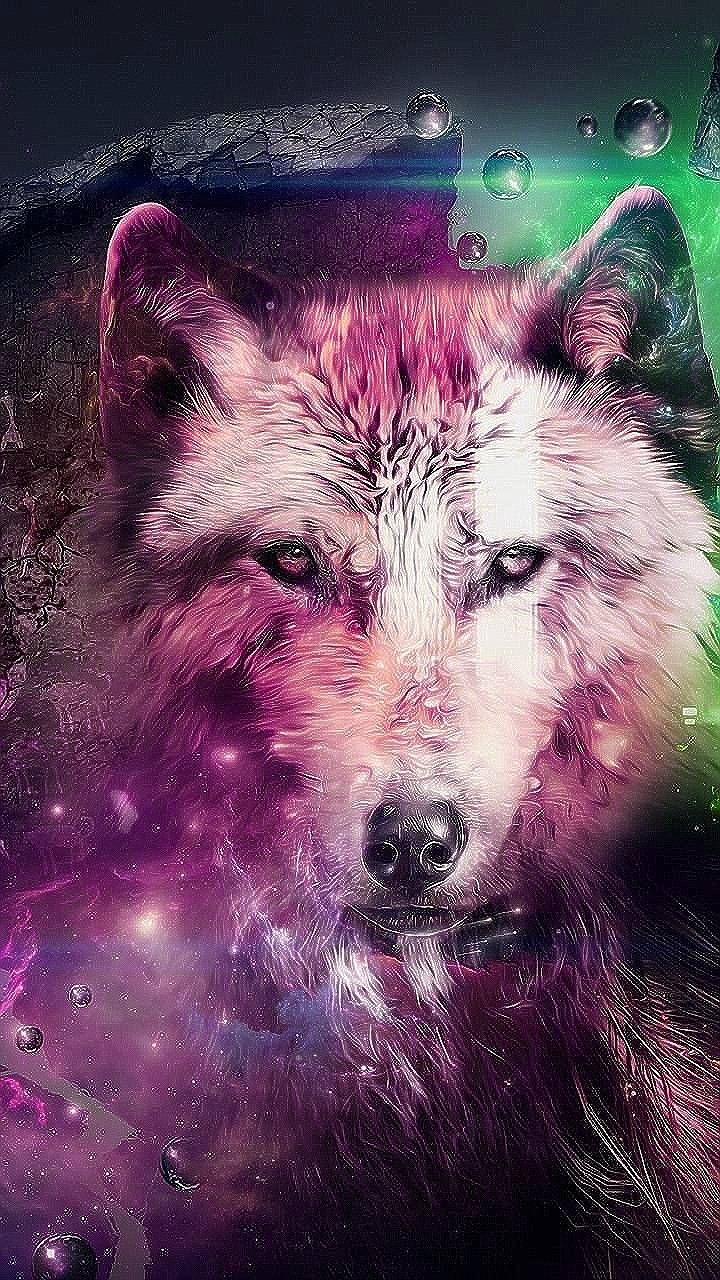 720x1280 Pink space wolf wallpaper