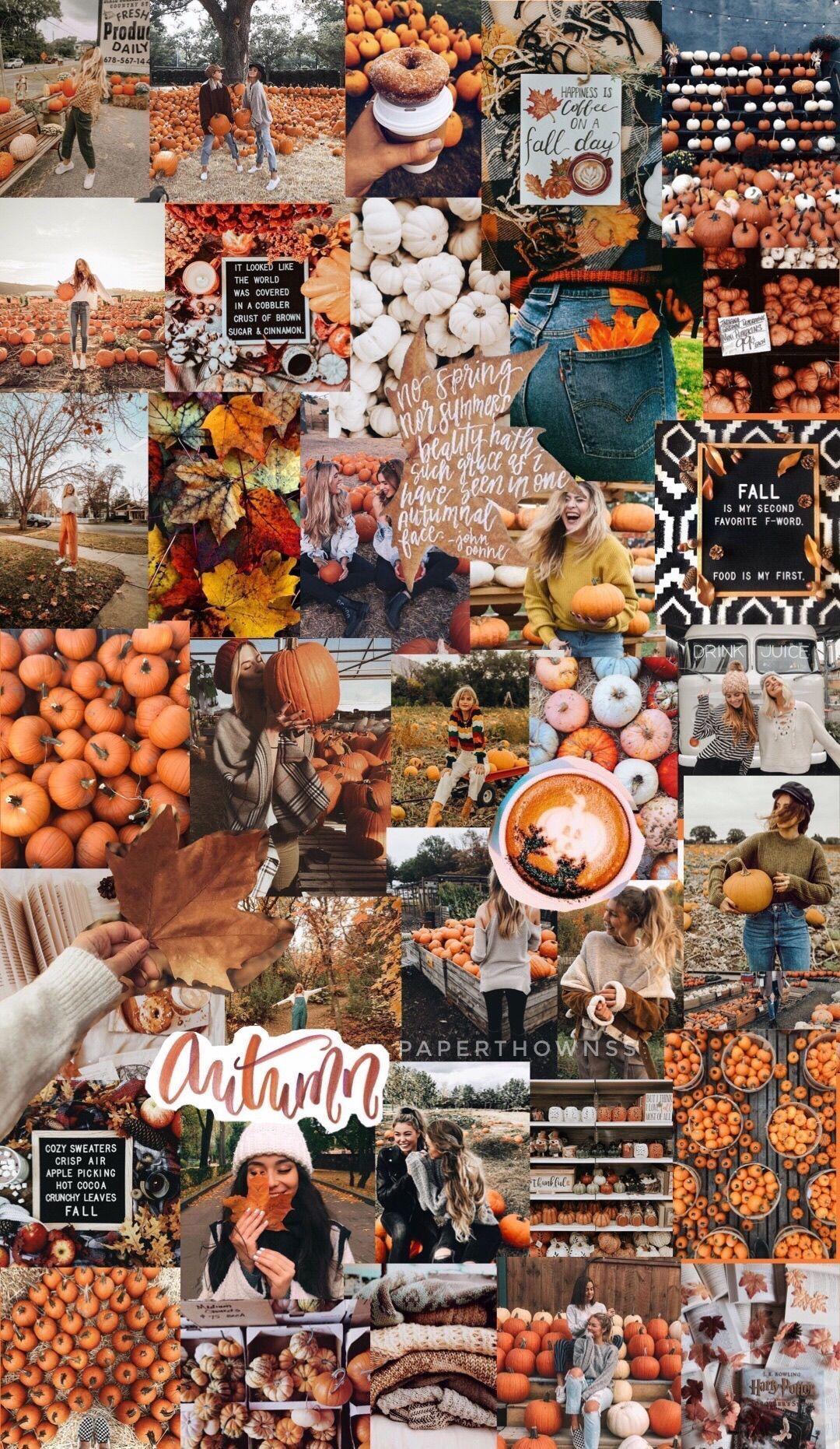 1080x1862 Autumn Collage Wallpaper #Autumn #collagewallpaper #paperthownss #Thanksgi. In 2020. Cute Fall Wallpaper, Fall Wallpaper, Halloween Wallpaper Iphone