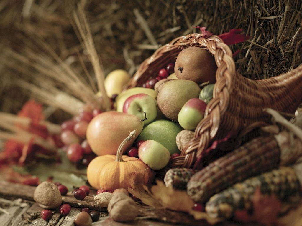 1024x768 HD Happy Thanksgiving Wallpaper