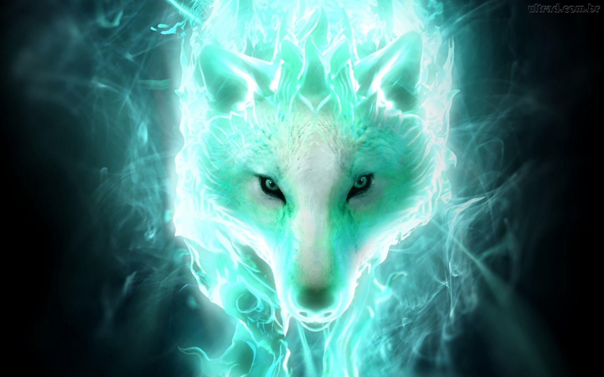 Cool Neon Wolf Wallpapers Top Free Cool Neon Wolf Backgrounds Wallpaperaccess