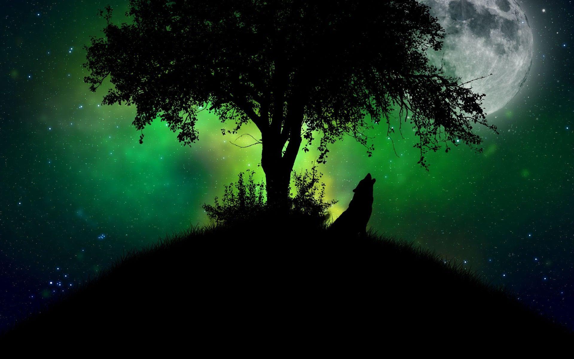 1920x1200 Running Wolf Wallpaper