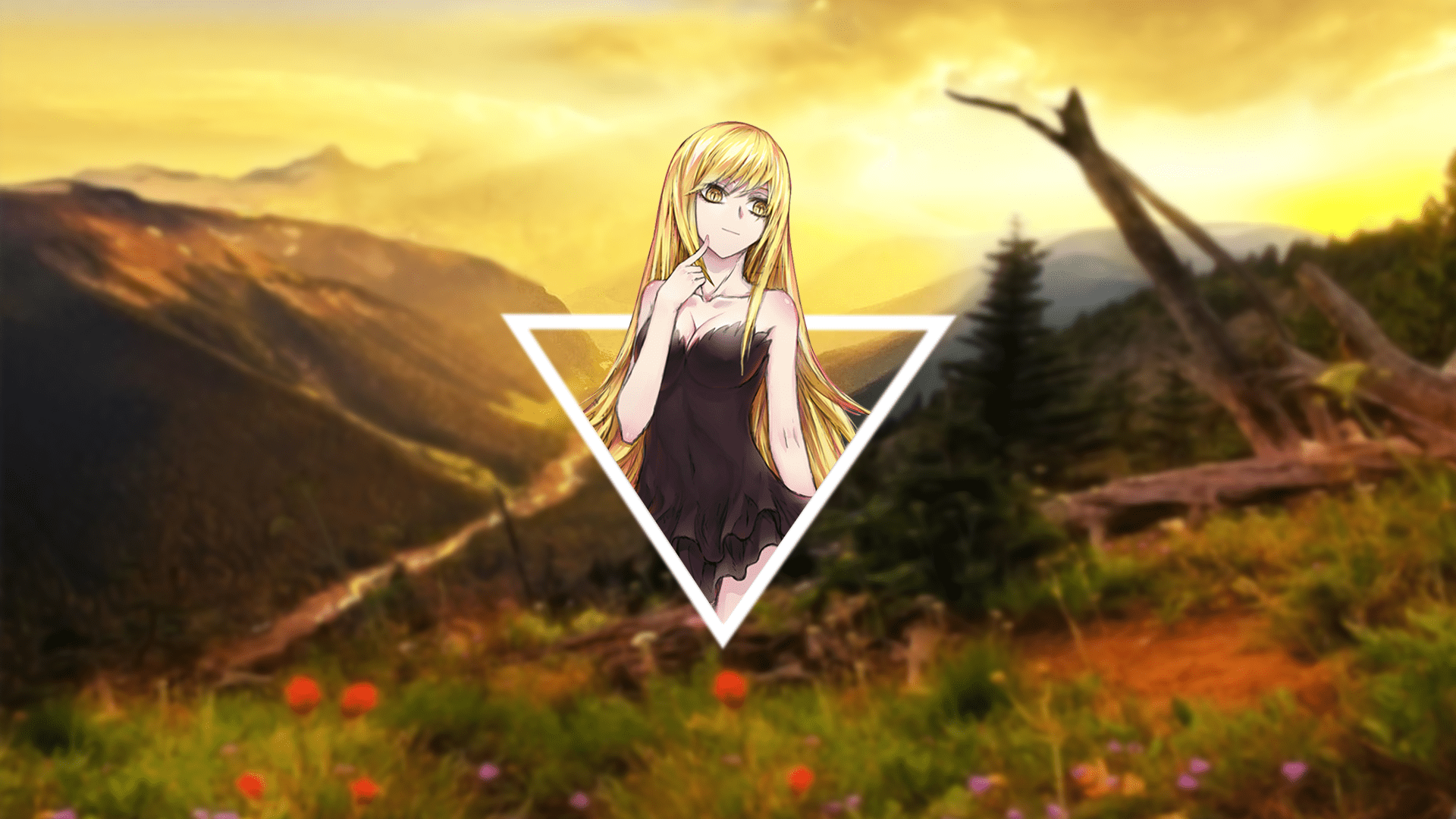 Monogatari Shinobu Wallpapers - Top Free Monogatari Shinobu Backgrounds ...