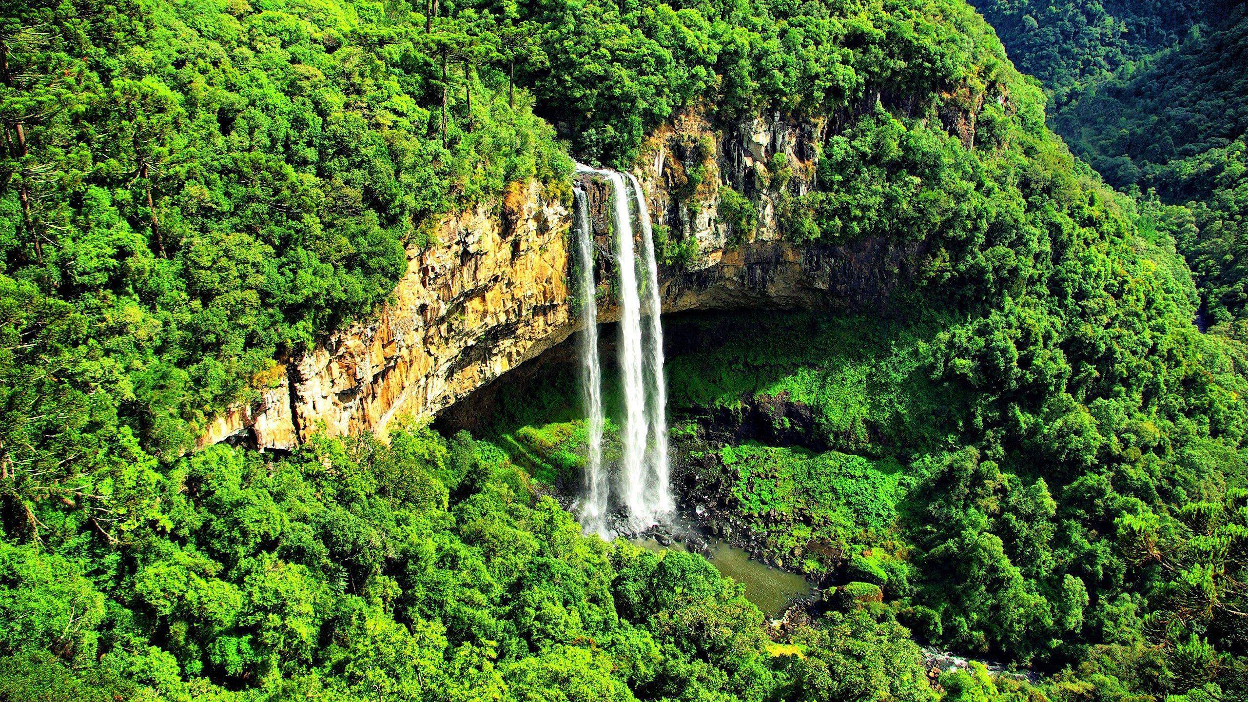 Brazil Jungle Wallpapers - Top Free Brazil Jungle Backgrounds