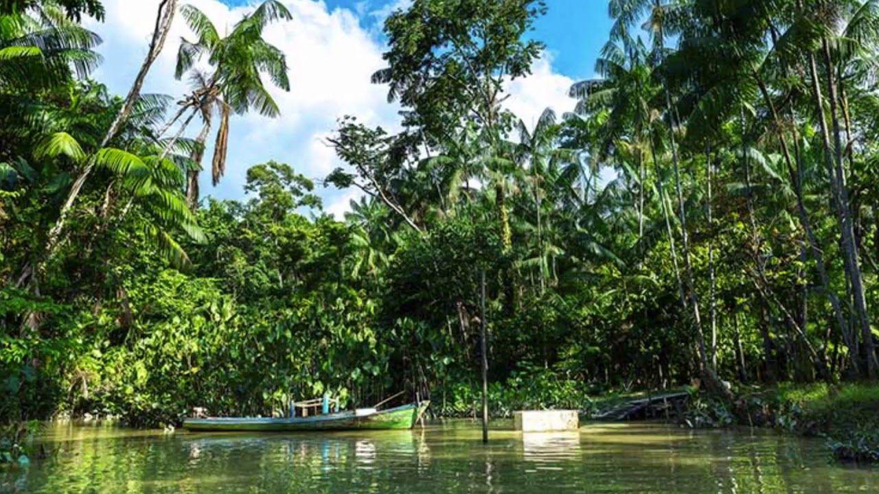 1280x720 BRAZIL RAINFOREST WALLPAPER