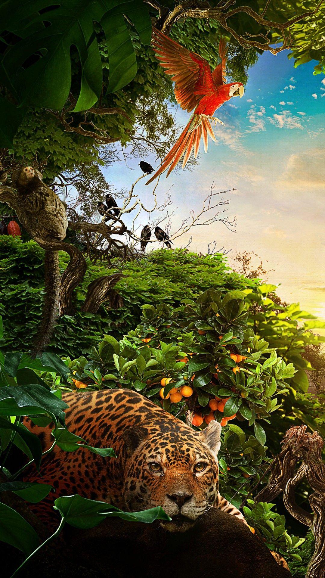1080x1920 Nature Of Brazil HD Wallpaper
