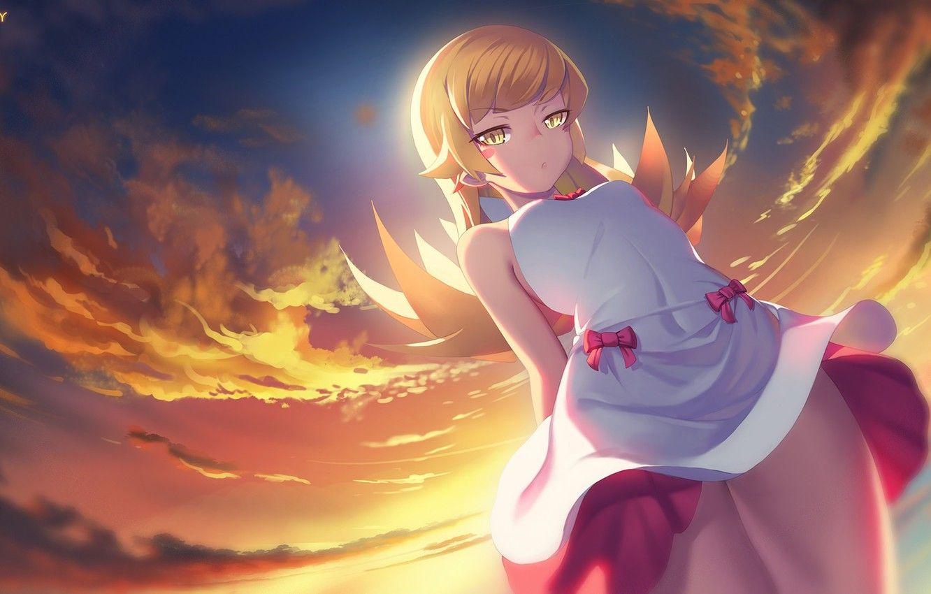 1332x850 Wallpaper anime, art, bakemonogatari, oshino shinobu, monogatari, history of monsters image for desktop, section прочее