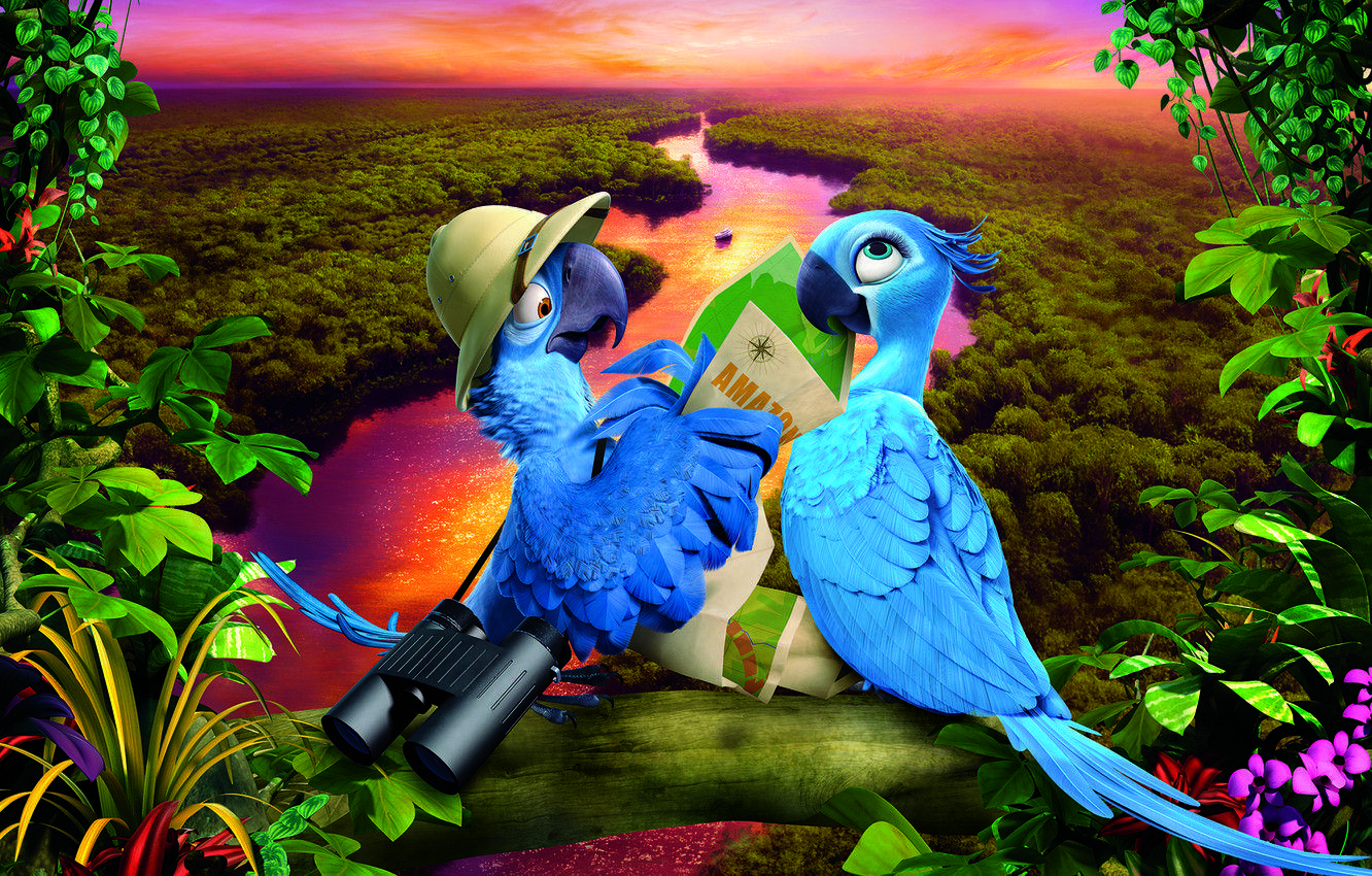 Rio Birds Wallpapers - Top Free Rio Birds Backgrounds - WallpaperAccess