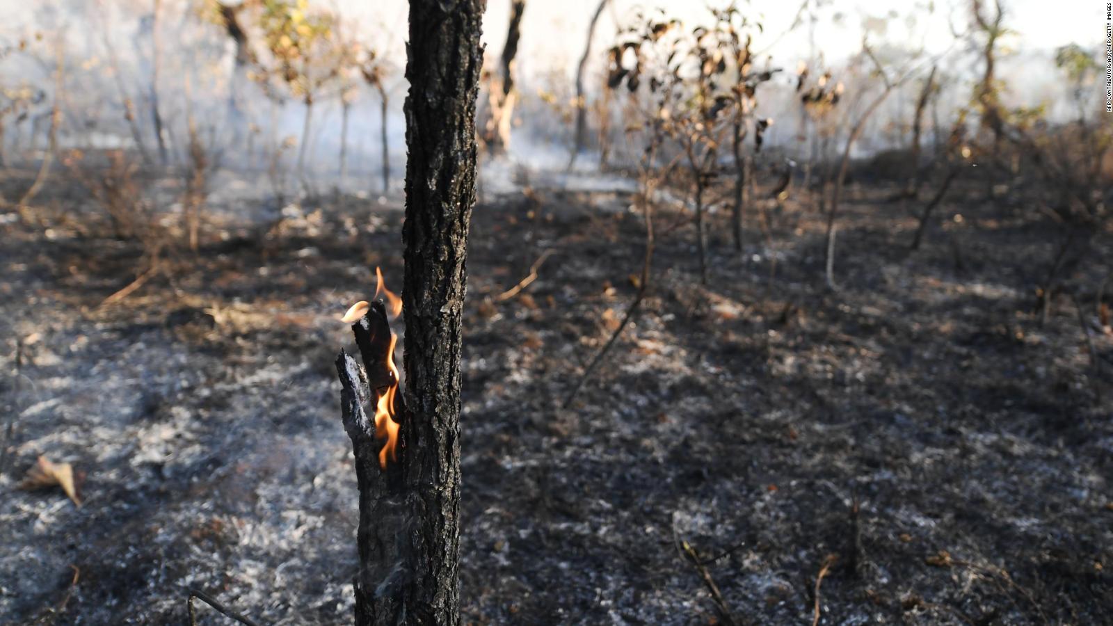 1600x900 Amazon Rainforest Fire Photo: Some Of The Most Shared Image Are Old Or Are Not Of The Amazon