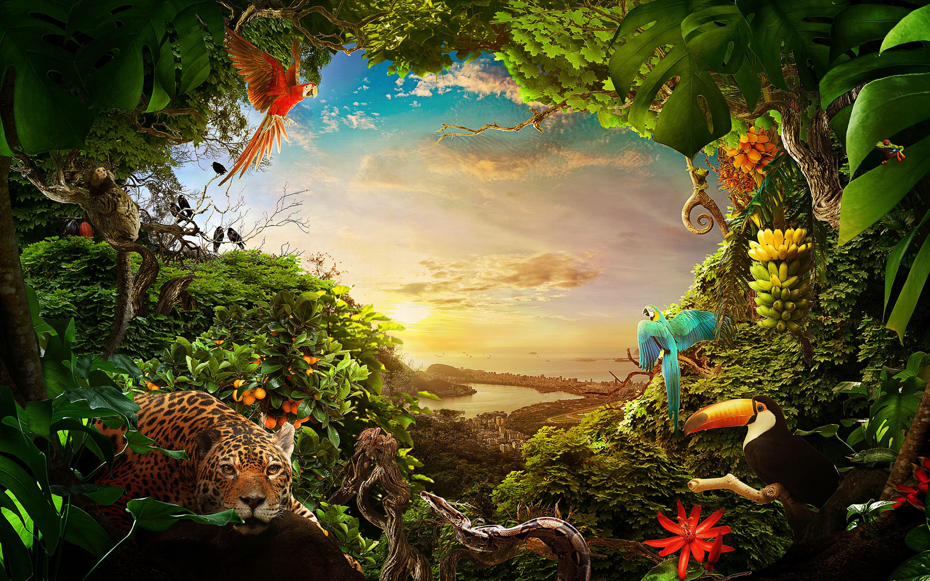 Brazil Jungle Wallpapers - Top Free Brazil Jungle Backgrounds